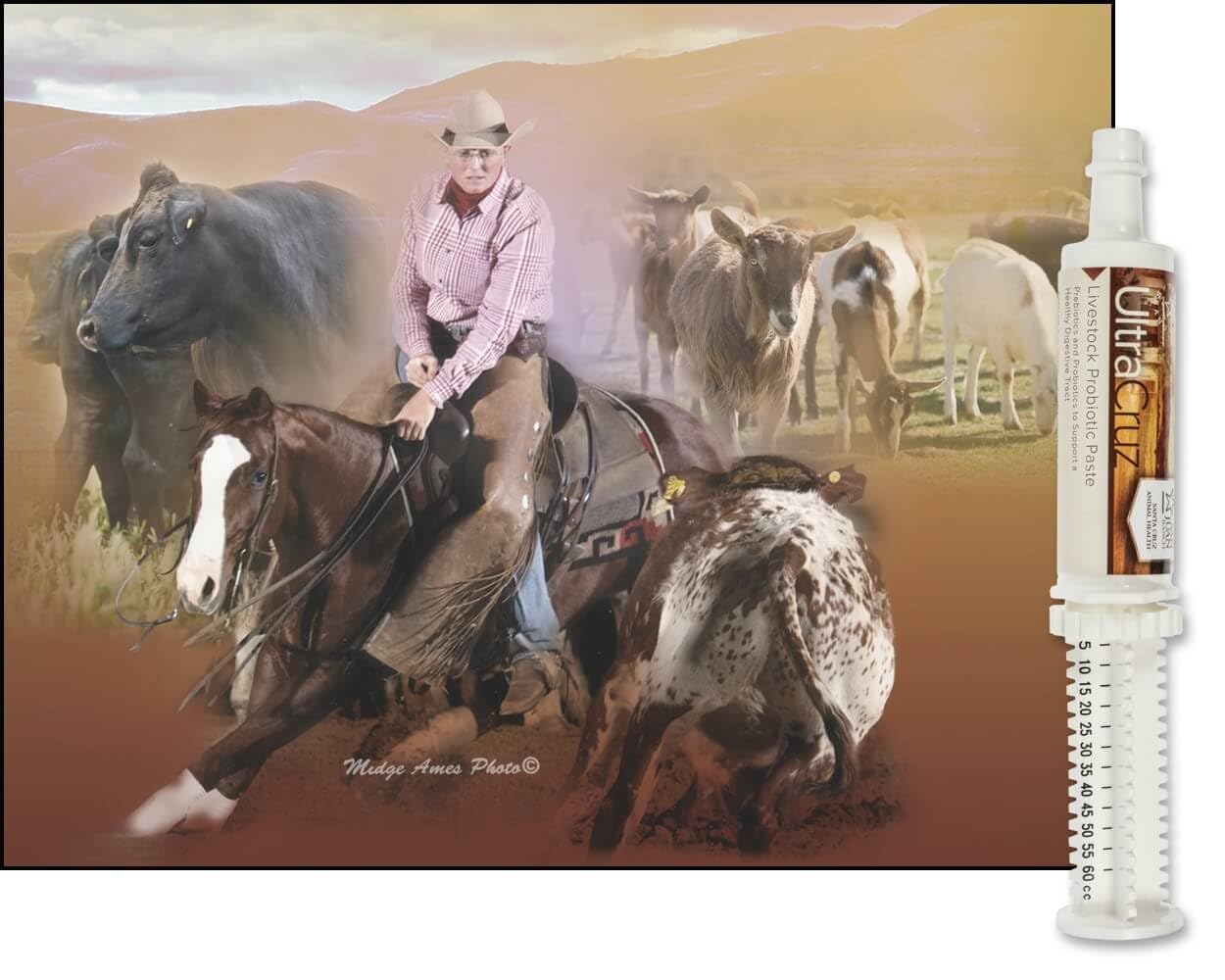 60 ml, Paste, 4 Day Supply UltraCruz buy supplements Au