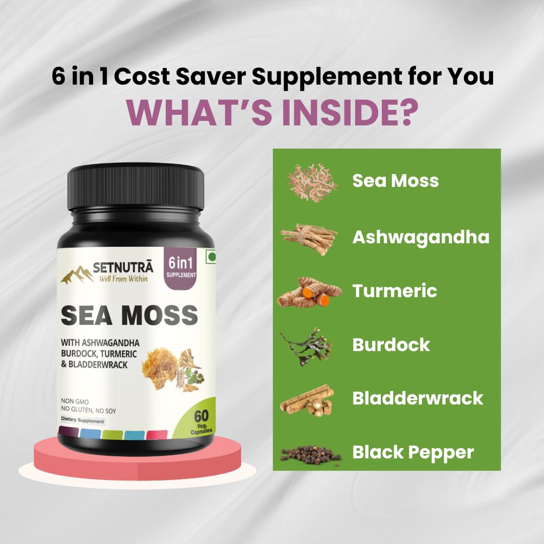 SETNUTRA Well From Within Sea Moss 6 in 1 Super Blend Ashwagandha Burdock Turmeric & Bladderwrack Immunity & Detox Support 60 Veg Capsules Non GMO No Gluten SETNUTRA Well From Within buy supplements Au