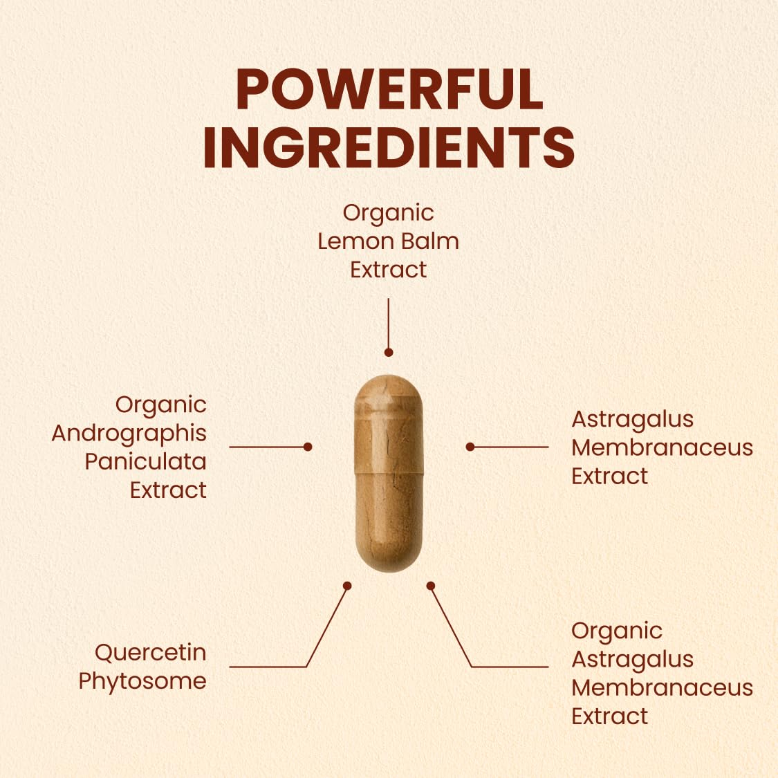 CHOQ Armor - Vegan Capsules - Professional-Grade Immune Defense - 20x Absorption Quercetin Phytosome - Andrographis - Astragalus - Supports Healthy Histamine Levels CHOQBuy Supplements Australia