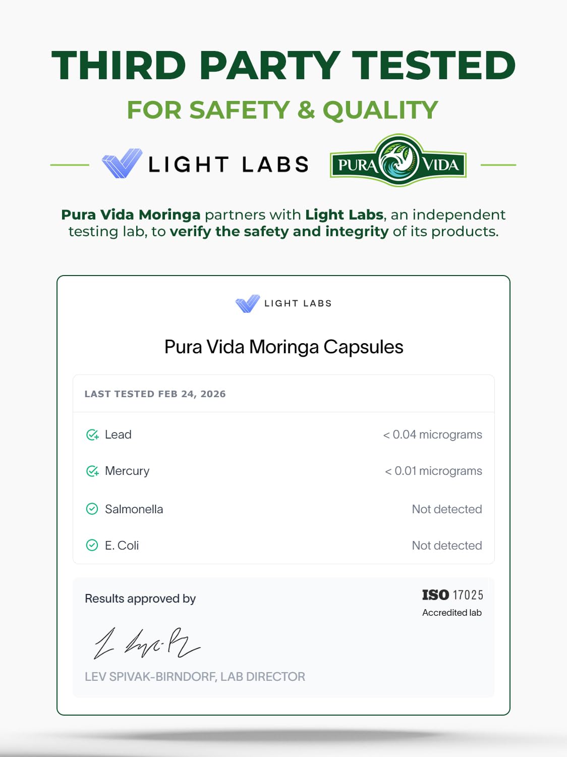 PURA VIDA MORINGA Organic Moringa Capsules, Pure Moringa Leaf Powder Single Origin for Energy, Metabolism & Immune Support