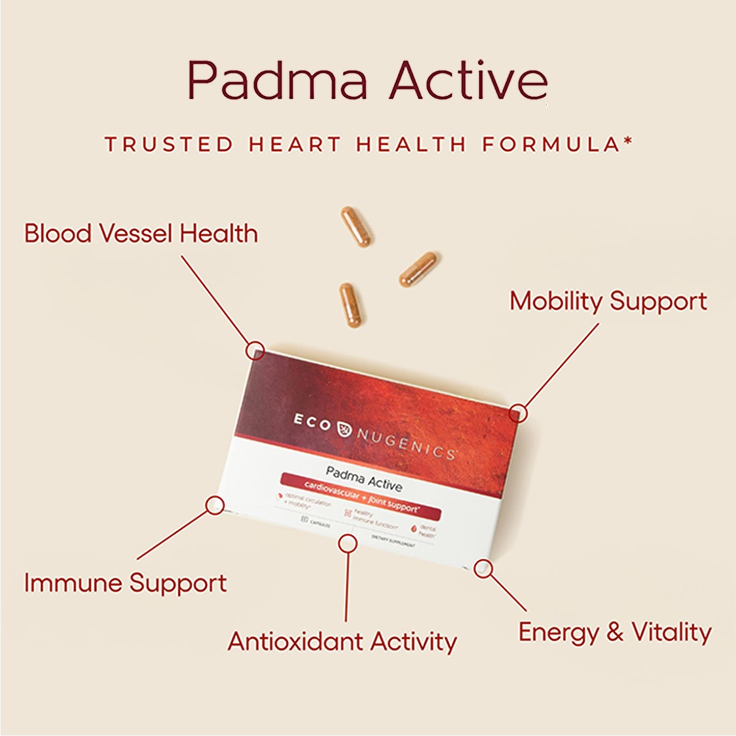 EcoNugenics Padma Active for Women & Men: Vitamin C Supplement for Collagen Formation, Energy Levels, and Immune System, Cellular & Antioxidant Support – Tibetan Recipe of Natural Herbs & Minerals EcoNugenicsBuy Supplements Australia