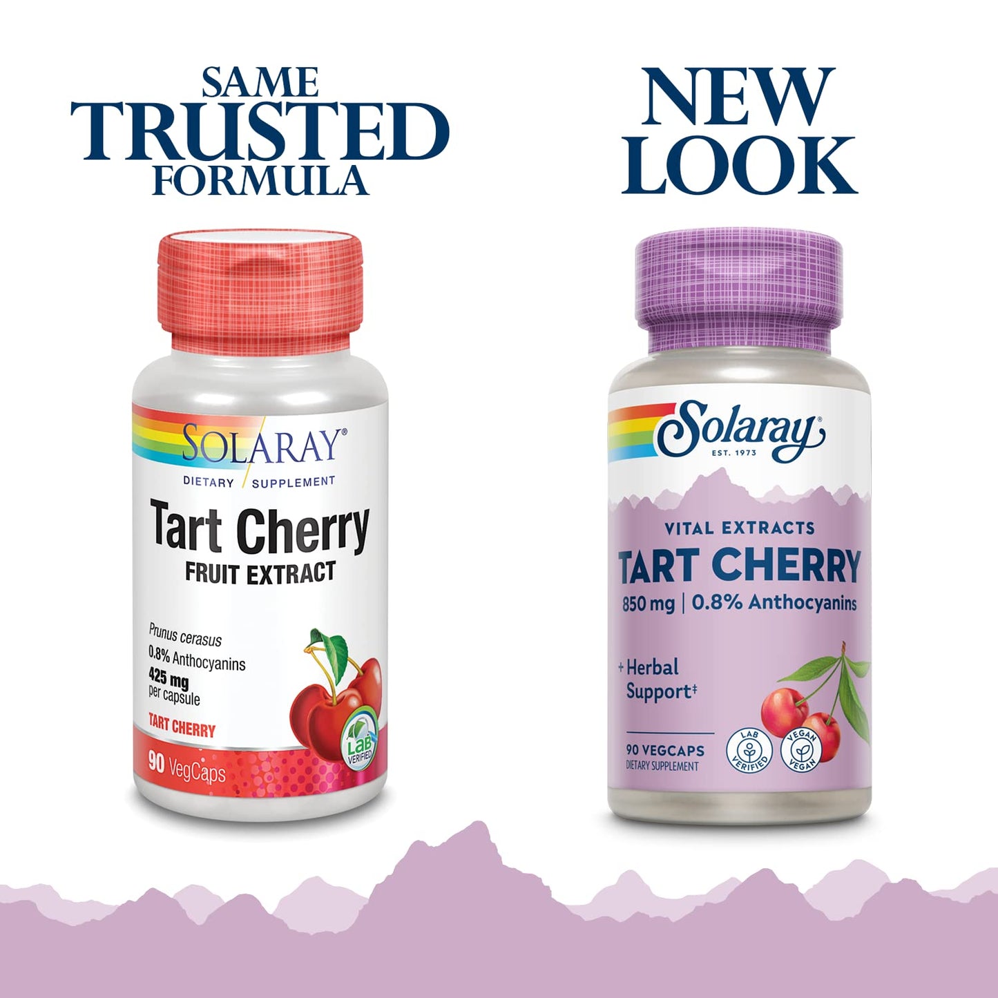 Solaray Tart Cherry Fruit Extract 850 mg - Tart Cherry Supplement with Antioxidants, Fruit Juice Extract with Flavonoids - 90 VegCaps SOLARAYBuy Supplements Australia