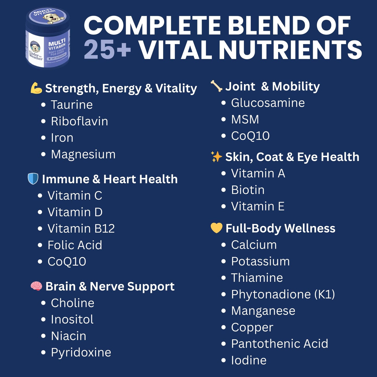 Under the Weather Multivitamin for Dogs | Vet Formulated Daily Canine Health Supplies for Immunity, Skin, Coat & Joint Support | All-in-One Multivitamin for Dogs of All Breeds & Sizes | 60 Count Under the Weather buy supplements Au