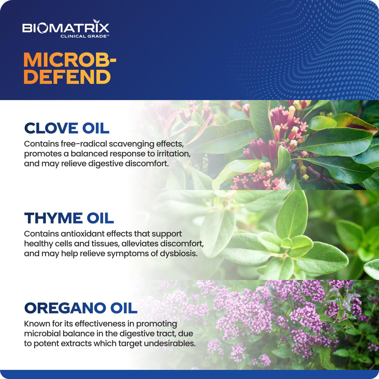 BioMatrix Biofilm Disruptor, GI Repair Digestive Supplement for Men and Women, Oil of Thyme, Oregano & Clove, Gut Microbiome & Intestinal Health Support | Microb-Defend (90 Softgels) BioMatrixBuy Supplements Australia