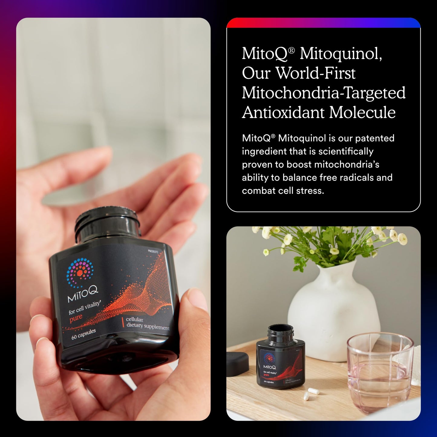 MitoQ Pure Advanced Mitochondria Supplement Superior Bioavailability to CoQ10 | Reduces Free Radical Damage for Healthy Aging, Metabolism, Heart Health, Energy, Strength & Mobility MitoQ buy supplements Au