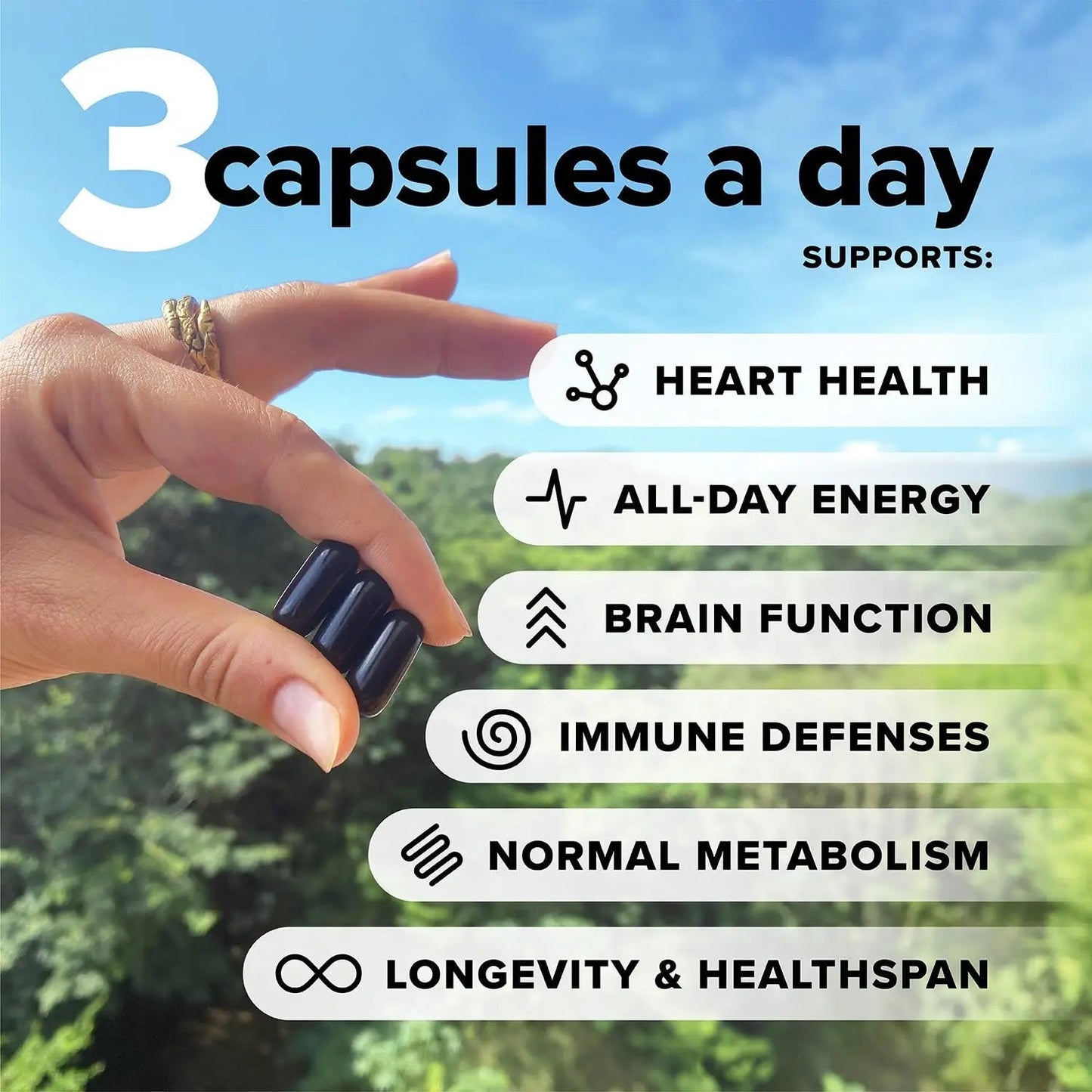 Complement Essential Vegan Multivitamin for Men & Women (60 Servings, 180 Capsules) with Omega-3 DHA & EPA, B12, Vitamin D3 & K2 Complement