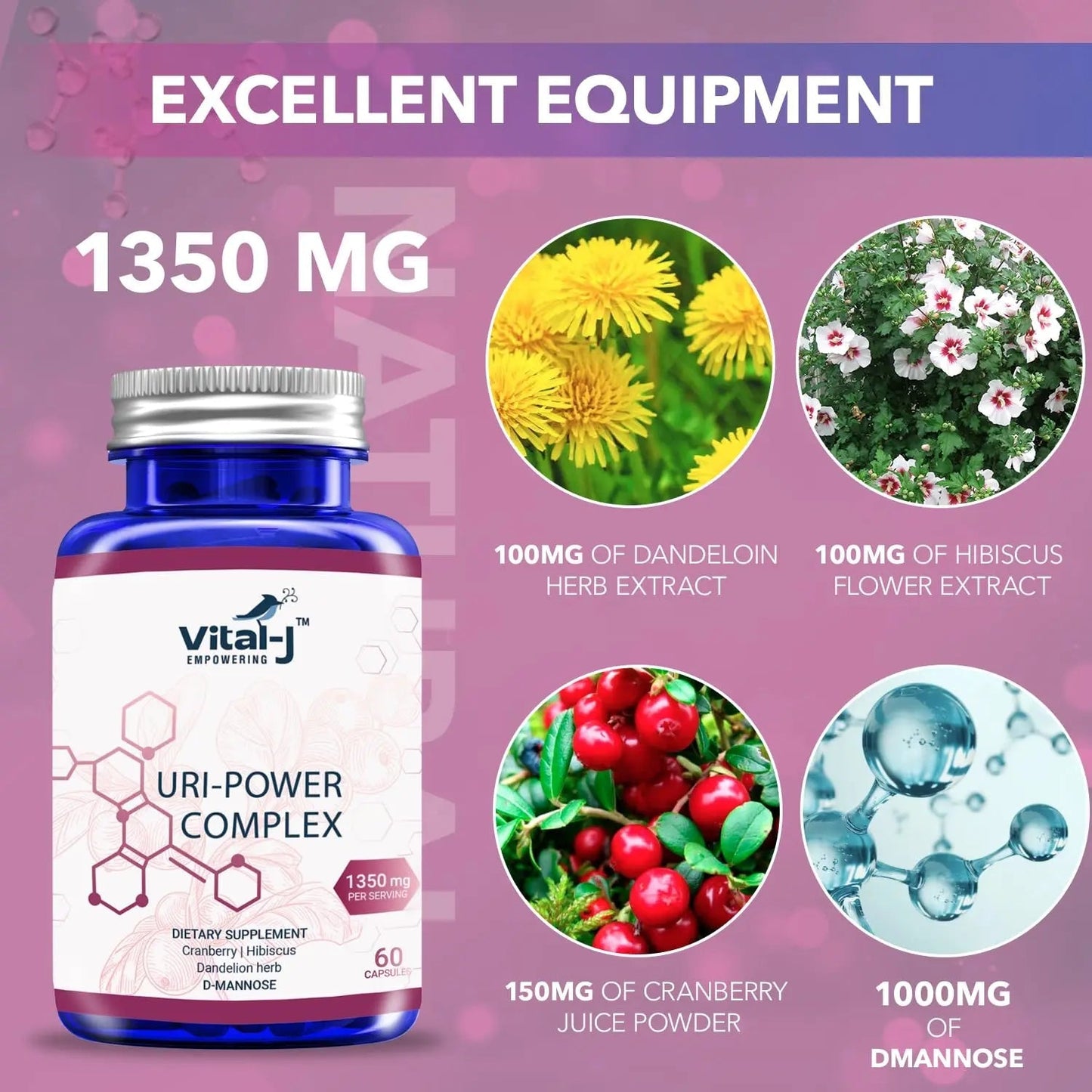 4-IN-1 URI POWER COMPLEX 1350mg - D Mannose, Cranberry, Hibiscus, and Dandelion Herb - Naturally Cleanse the Bladder and Urinary Tract 60 capsules – Specialized Approach for UTI Avoidance Vital-J EmpoweringBuy Supplements Australia