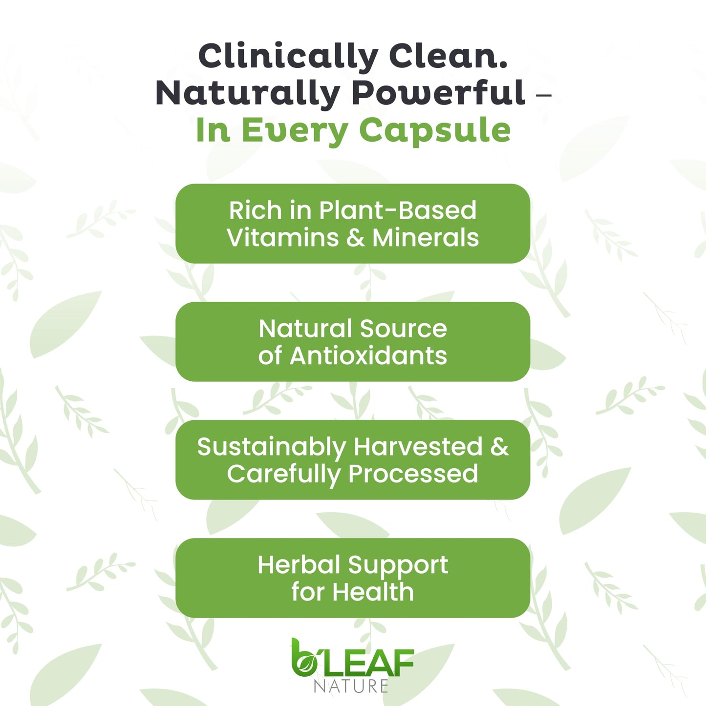 B'LEAF NATURE Moringa and Quercetin Bundle - Non-GMO, Vegan, High Absorption Capsules - 1000mg Quercetin Phytosome Blend + 1000mg Moringa - Natural Energy, Wellness and Immune Support Supplements B'LEAF NATURE buy supplements Au