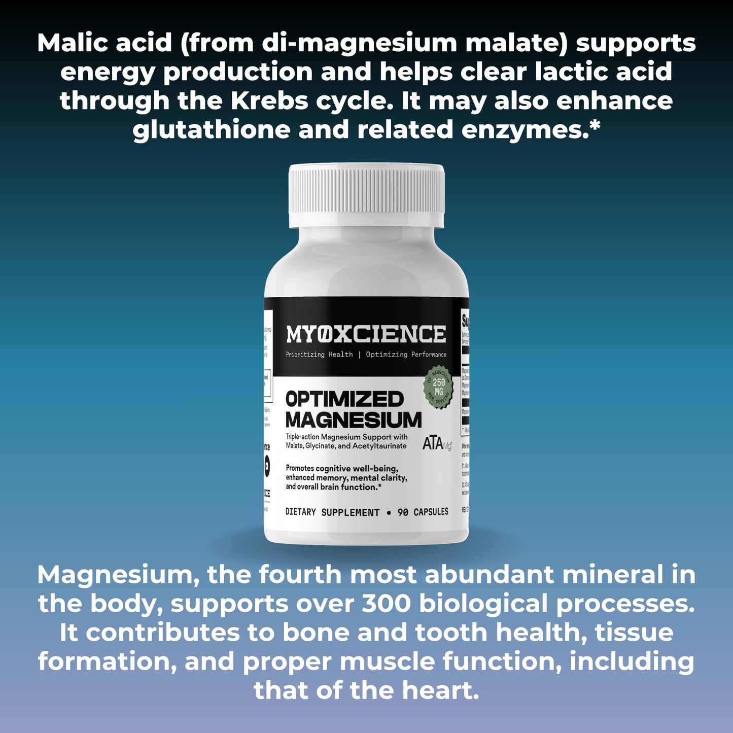 MYOXCIENCE Optimized Magnesium Glycinate + Magnesium Taurate (as ATAmag®) for High Brain Bioavailability to Support Stress Relief and Sleep | 30 Servings MYOXCIENCE buy supplements Au