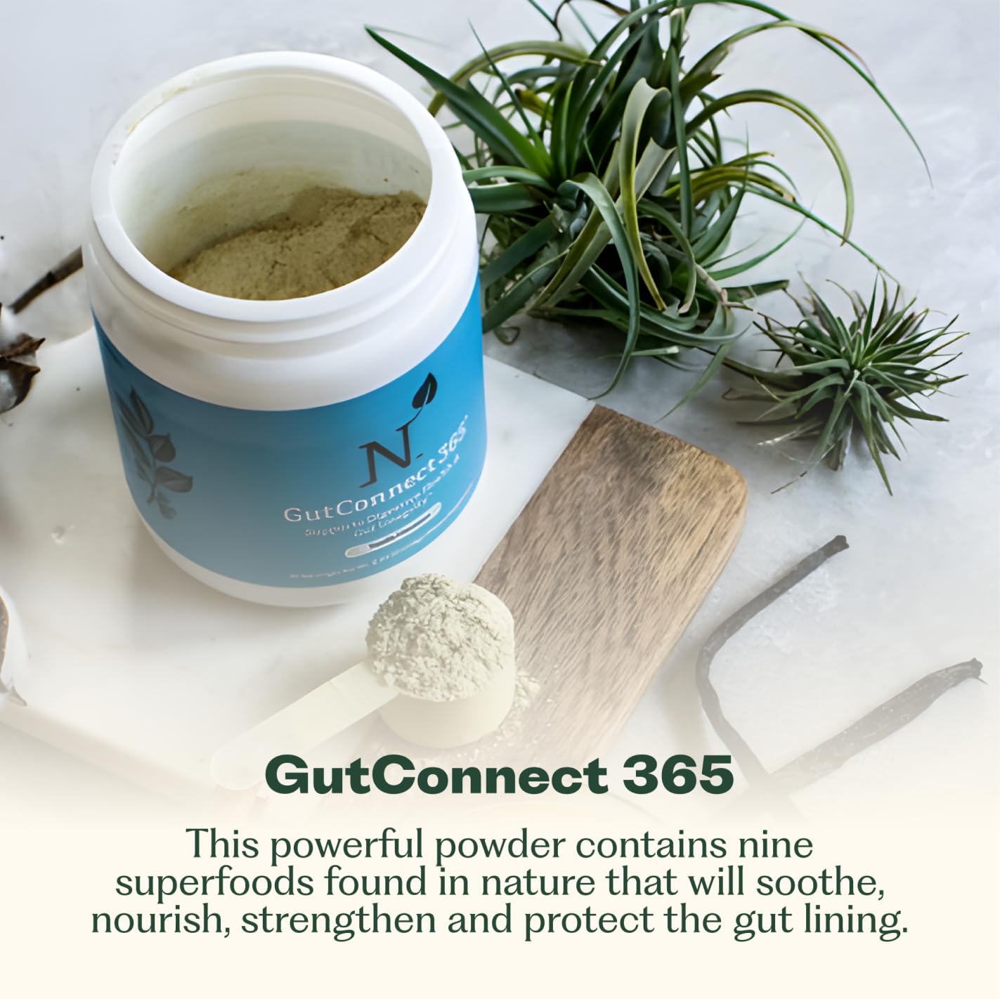 GutConnect 365 Gut Health Superfood Powder | Formulated With Slippery Elm Bark & L Glutamine | Vegan Certified | Allergen Free | Non-GMO | Soy Free | Made in the USA | 30 Servings – Vanilla Cinnamon Nature M.D.Buy Supplements Australia
