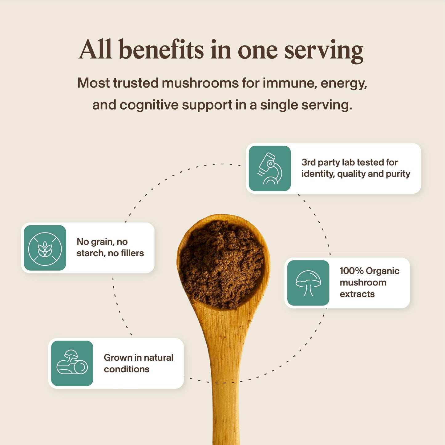 Real Mushrooms 5 Defenders - Adaptogenic Mushrooms Complex with Chaga, Reishi, Turkey Tail, Maitake & Shiitake for Wellness Support