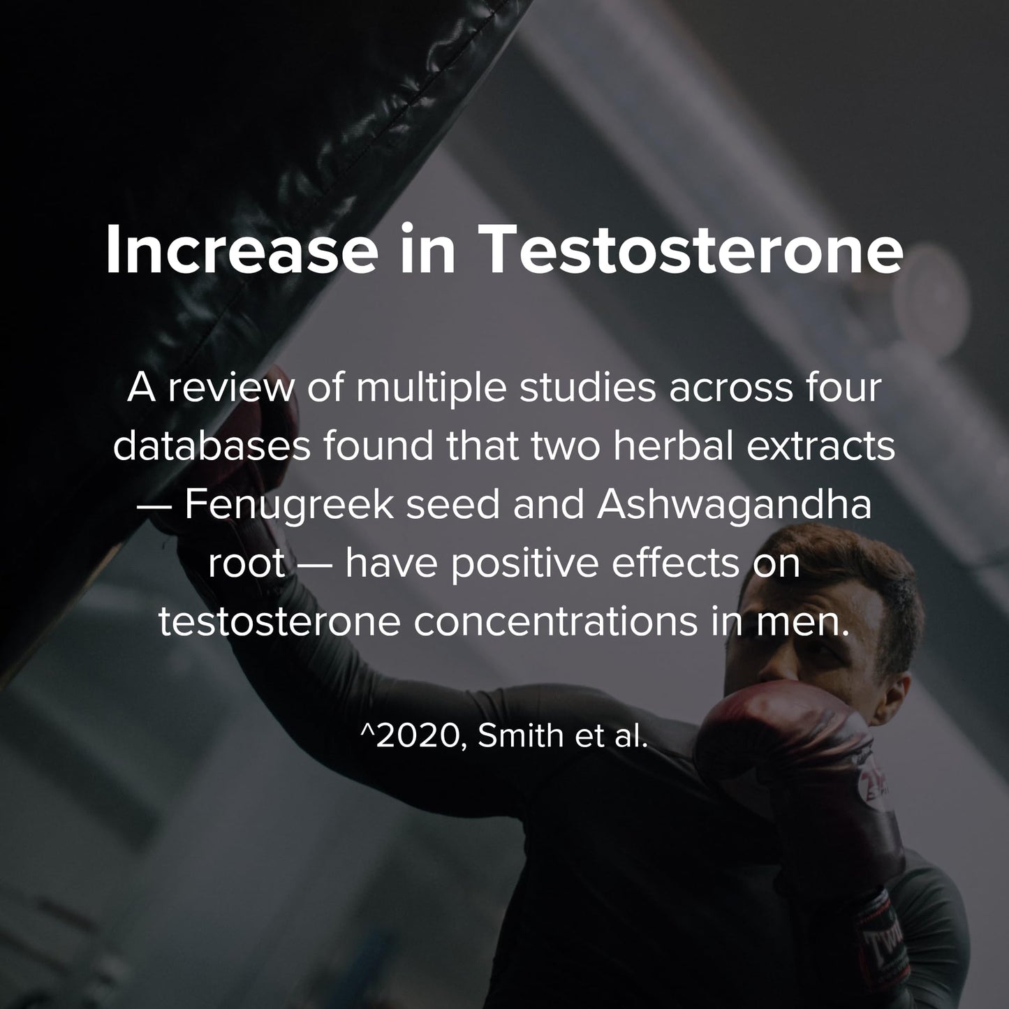 STRIVLABS Peak Potential 12-in-1 Support for Men – Fenugreek, Ashwagandha & Tongkat Ali – Natural Strength