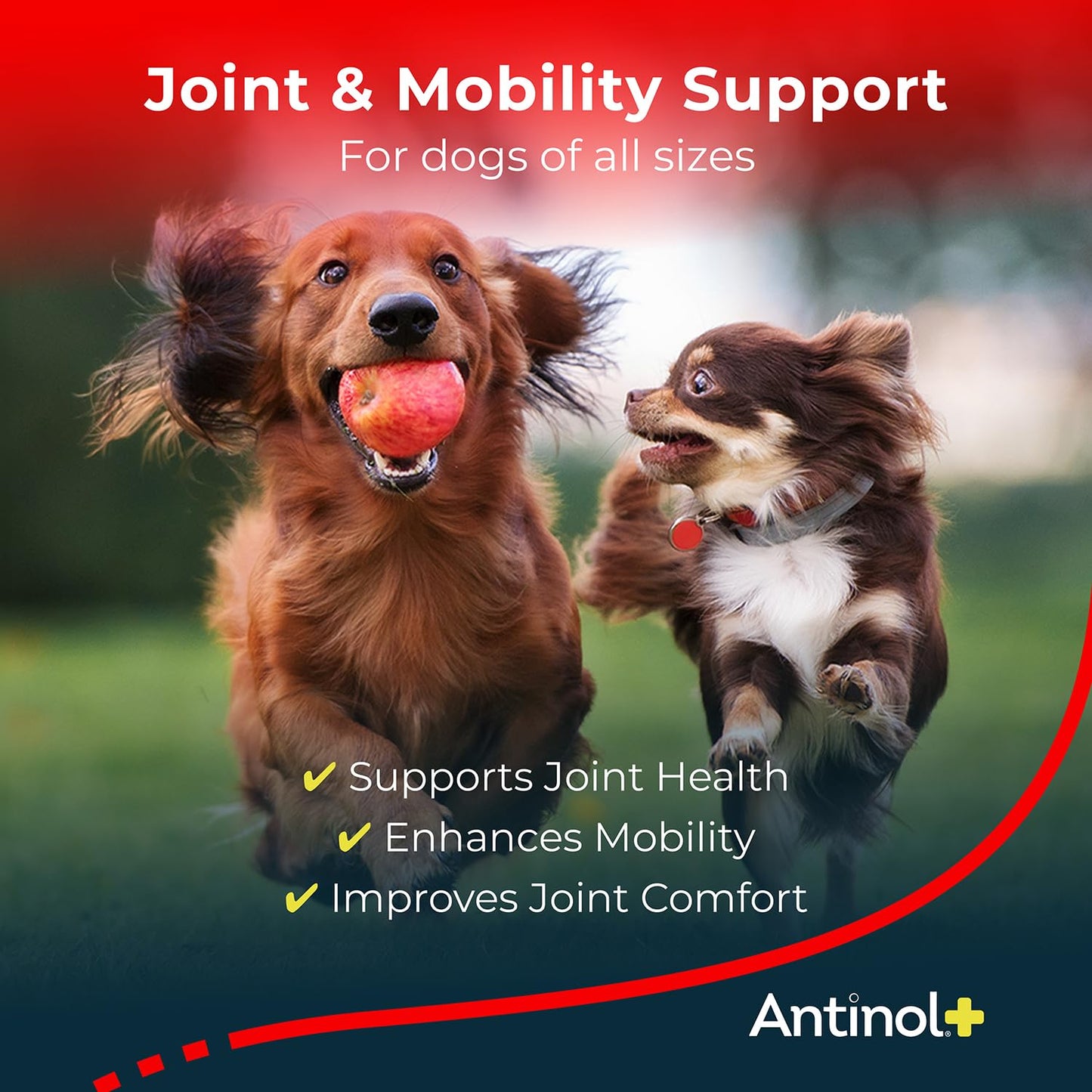 Antinol Plus, Mobility, Hip, and Joint Supplement for Dogs, Green-Lipped Mussels and Krill Oil - Dog Joint Supplement, Better and Faster Than Glucosamine and Chondroitin, 120 Soft Gels AntinolBuy Supplements Australia