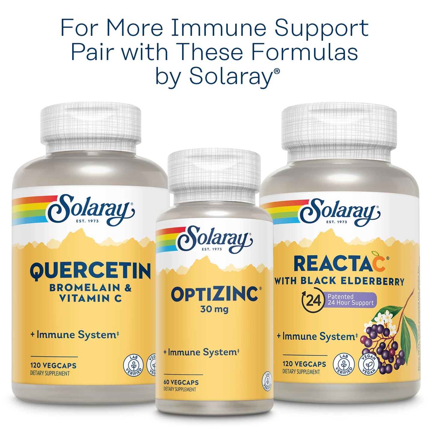 SOLARAY L-Lysine Monolaurin Immune Support Supplement, 1:1 Ratio for Immune System Function, 500 mg Each, 60-Day Money Back Guarantee