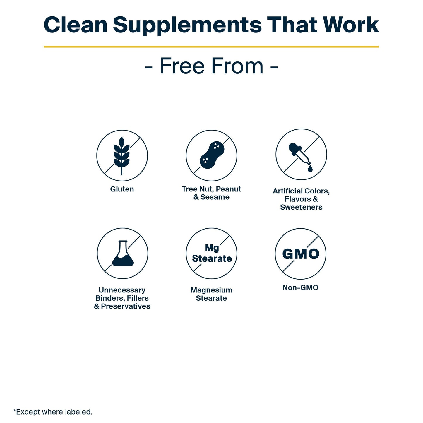 Vital Nutrients GI Repair Powder - Leaky Gut Powder with L Glutamine and Zinc - Digestive Enzyme Supplement to Support Gut Health