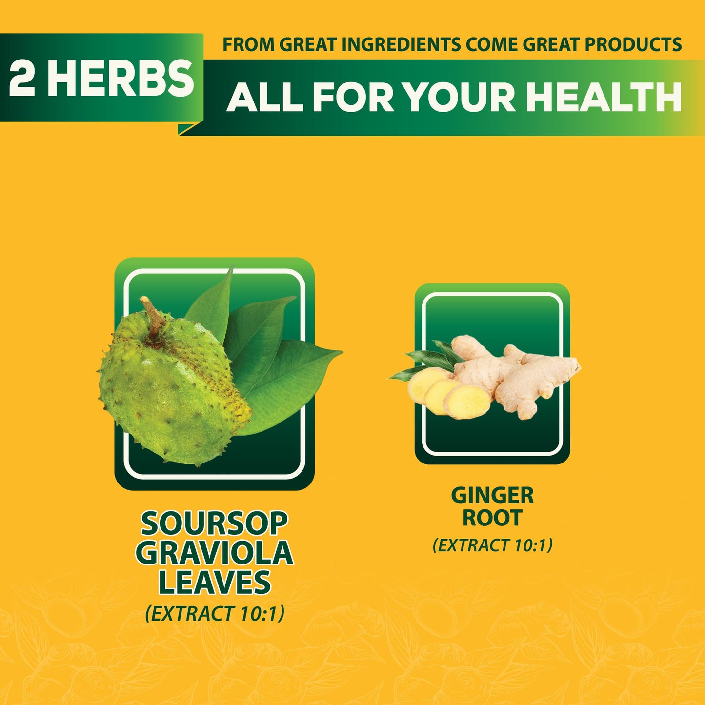 DEDICAD Soursop Leaves Tea Bags with Ginger, 30 Tea bags, 2gr/bag - Non-GMO/Caffeine free - Support Digestion, Well Skin, Immune System DEDICAD buy supplements Au
