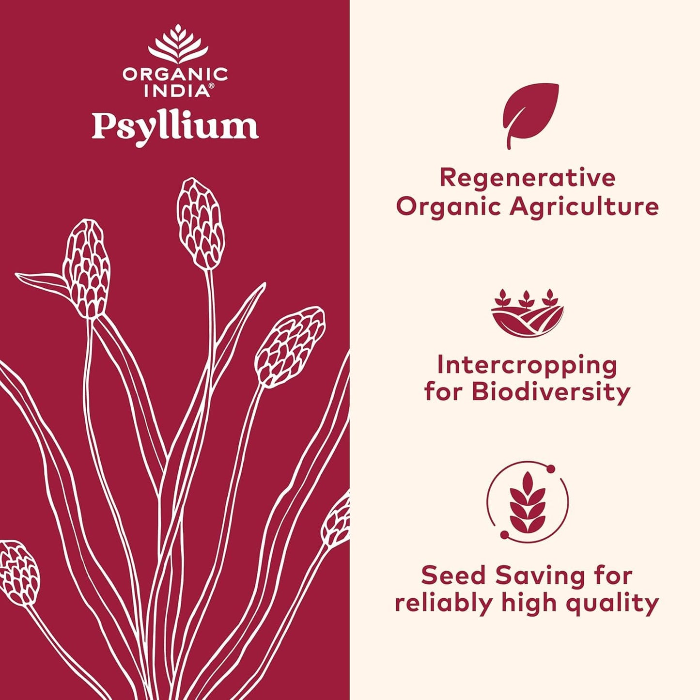 ORGANIC INDIA Psyllium Herbal Powder - Whole Husk Fiber, Vegan, Gluten-Free, USDA Certified Organic, Non-GM