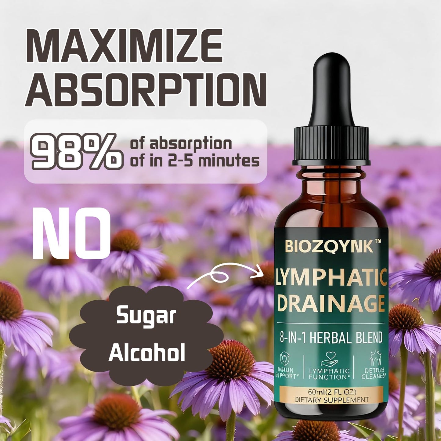 BIOZQYNK Lymphatic Drainage Liquid Drops – Herbal Extracts & Botanicals for Circulation, Immune & Detox Support – Alcohol-Free, Vegan (2 fl oz) BIOZQYNK buy supplements Au