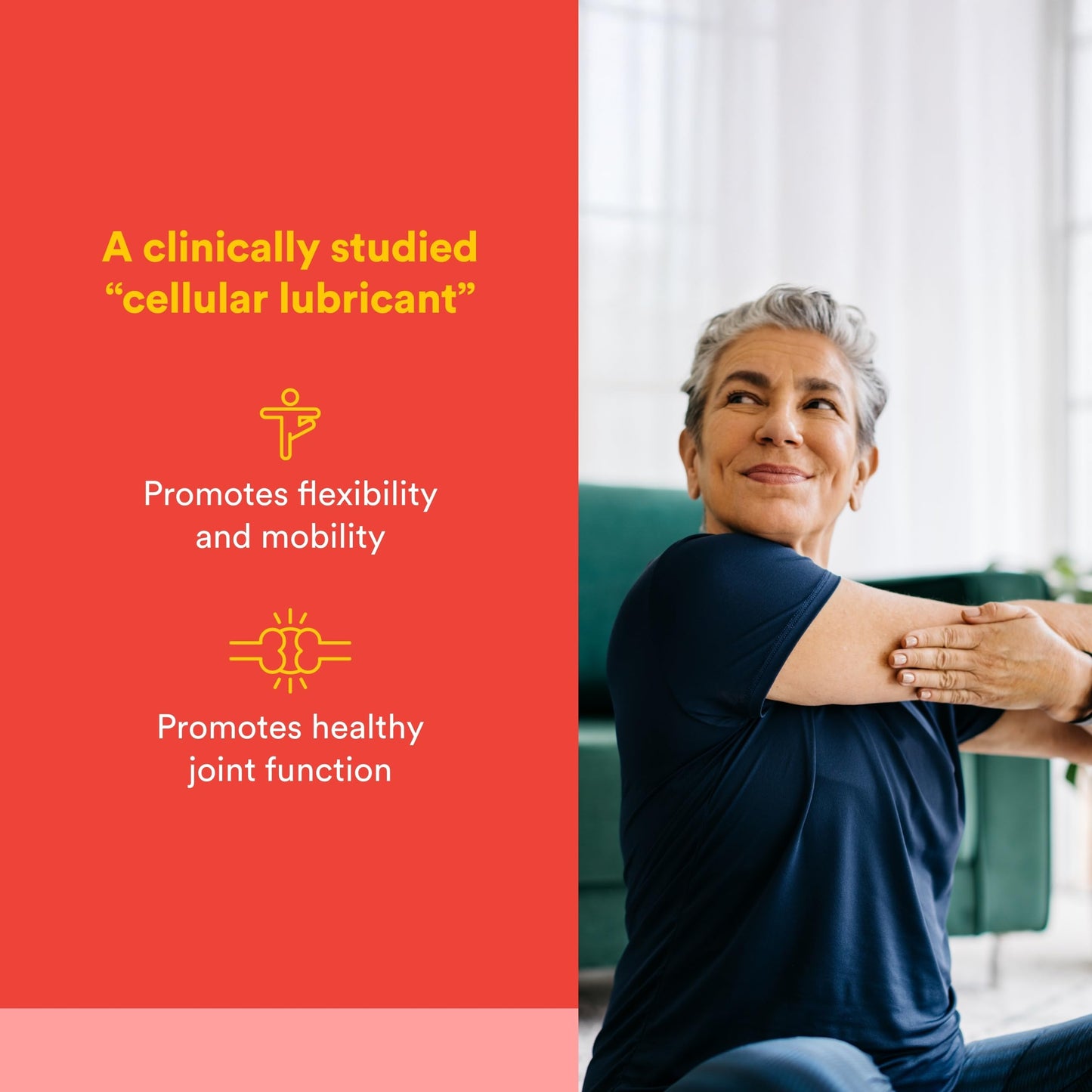 Natural Factors, Celadrin Joint Health, Promotes Flexibility, Mobility and Joint Function, 90 Softgels Natural FactorsBuy Supplements Australia