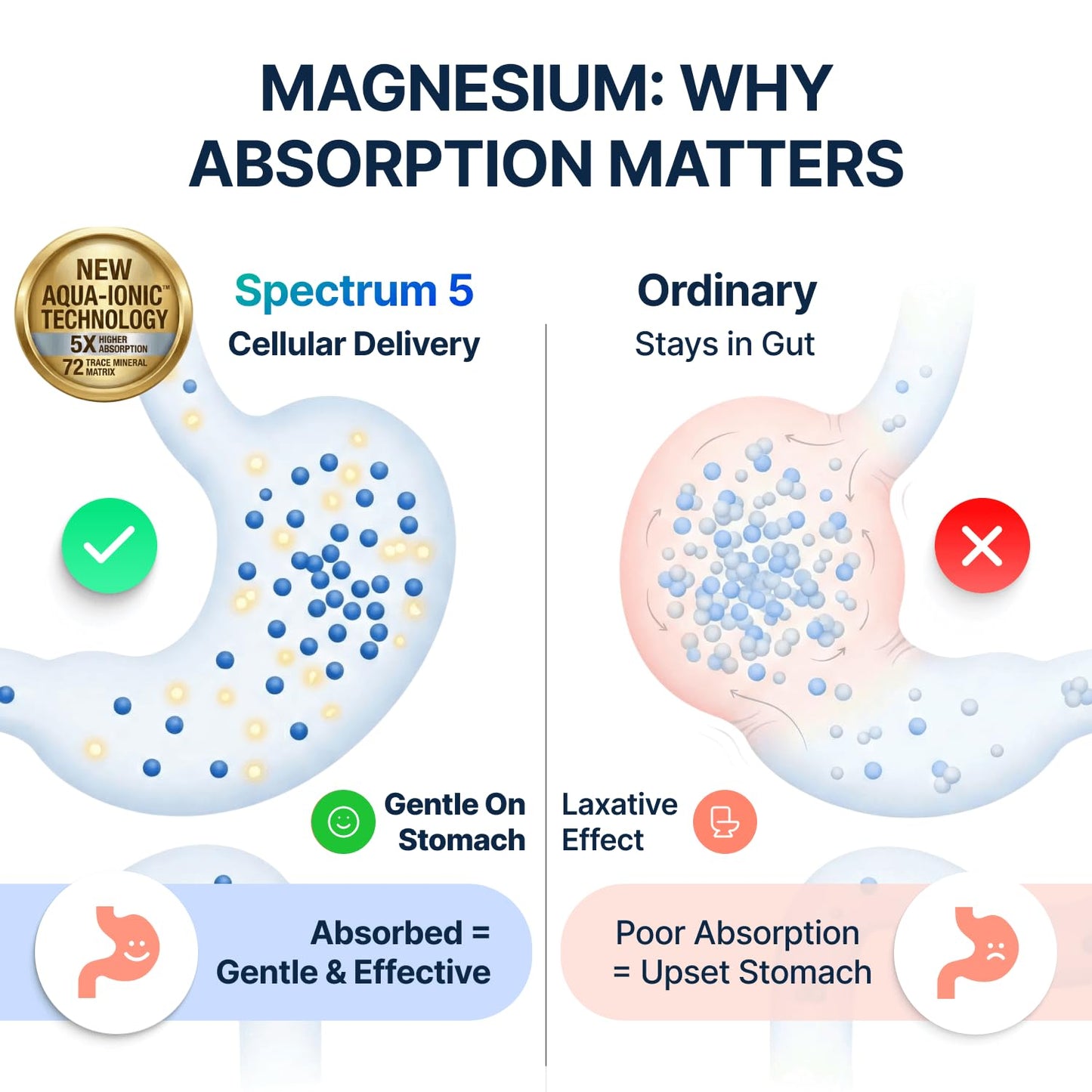 Spectrum 5 Magnesium | 5-in-1 Complex + 72 Trace Minerals for Enhanced Absorption | Irish Sea Sourced | 500mg per Serving | Made in USA, Third Party Tested, GMP Certified SonoHealth buy supplements Au