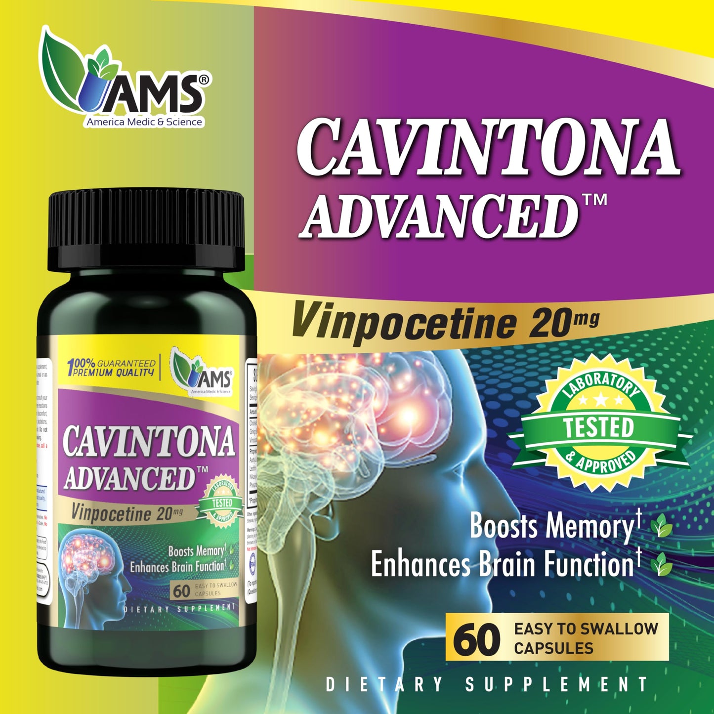 America Medic & Science Cavintona Advanced Supplement – Vinpocetine 20mg for Memory, Recall & Brain Health – Supports Cognitive Function, Focus, Mental Clarity & Blood Flow – 60 Capsules America Medic & ScienceBuy Supplements Australia