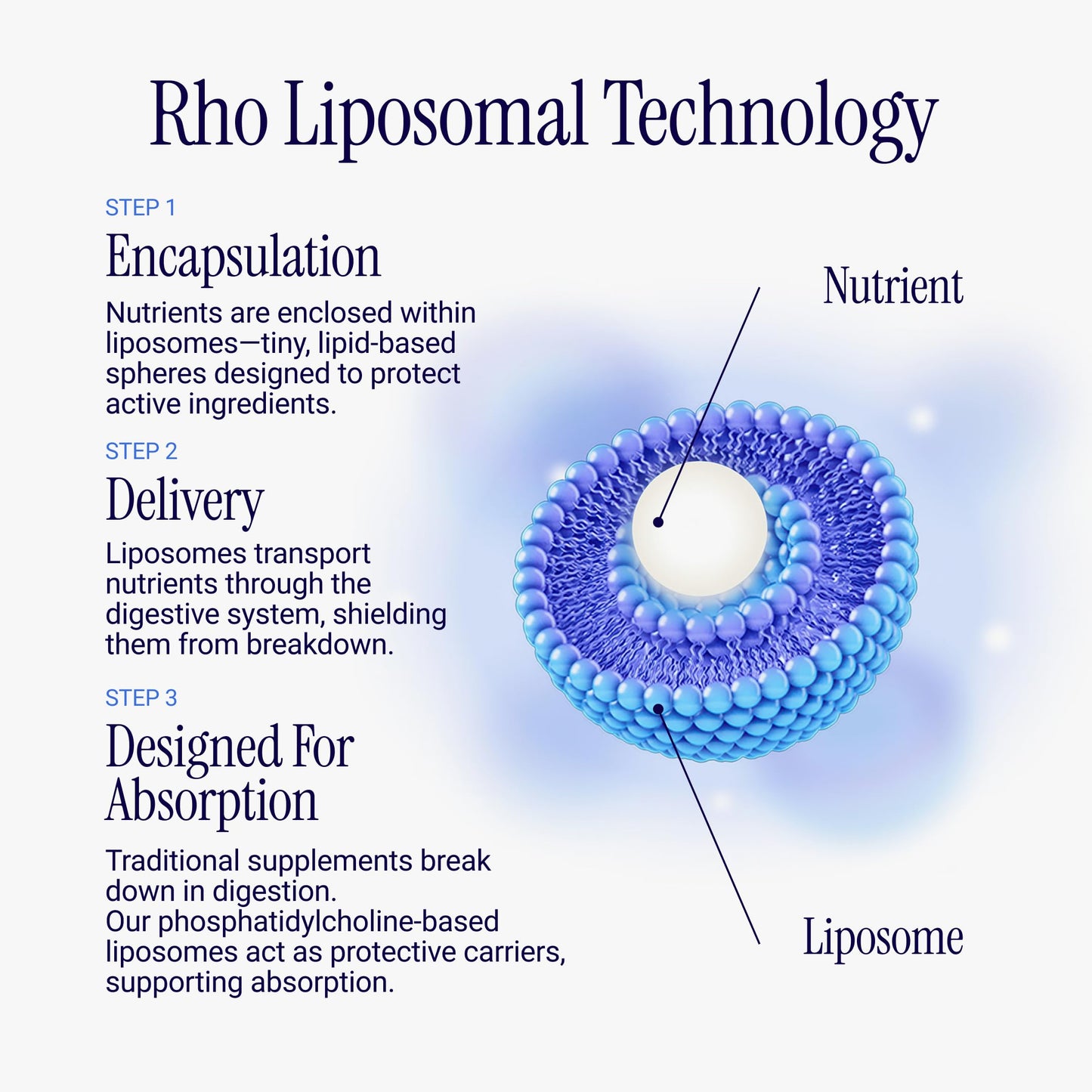 Rho Nutrition Liposomal Berberine Capsules - Ultra High Absorption Supplement – Supports Immune Function, Gut Health and Metabolic