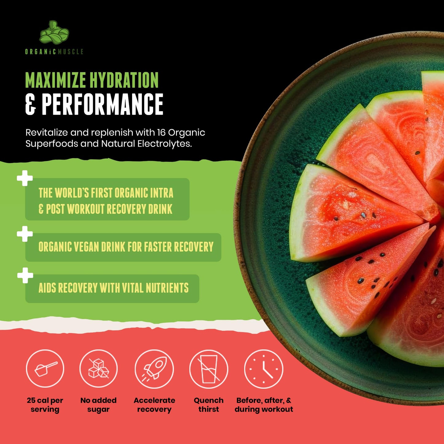 Organic Muscle Hydrator | Natural Electrolyte Powder for Peak Performance & Recovery - Watermelon Flavor, 20 Servings Organic MuscleBuy Supplements Australia