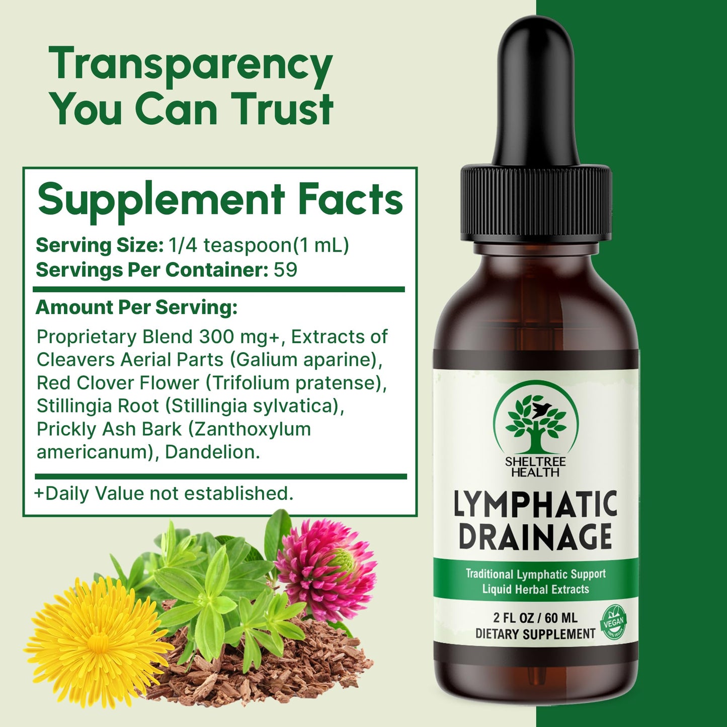 SHELTREE HEALTH Lymphatic Drainage Drops, 2 Fl. Oz | Organic Lymphatic Drainage Supplements with Cleavers, Red Clover Flower, Stillingia Root, Prickly Ash Bark, Dandelion | Vegan | Non-GMO SHELTREE HEALTH buy supplements Au