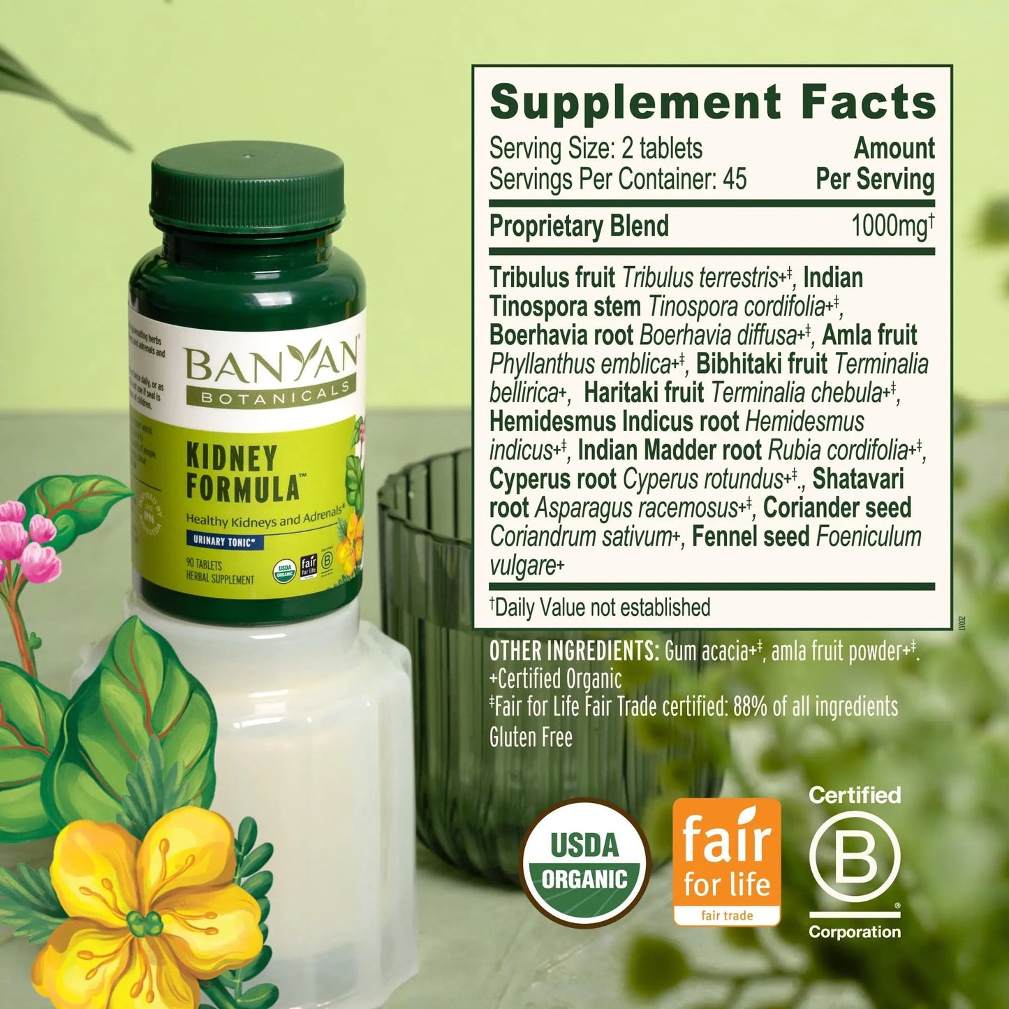 Banyan Botanicals Organic Kidney Formula–Urinary Tract Support & Detox Supplement–Gokshura & Punarnava for Fluid Balance & Systemic Cleansing–Cooling Genitourinary Tonic-90 Tablets-USDA Organic Banyan BotanicalsBuy Supplements Australia