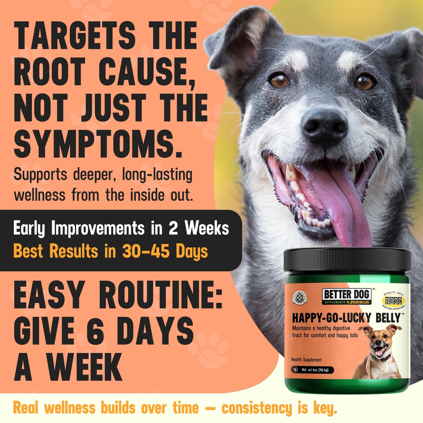 Better Dog Supplements Happy-Go-Lucky Belly by Cesar Millan - Natural Dog Digestive Support Powder – Dog Constipation Relief, Gut Balance & Regularity with Herbal Fiber for Dogs – 4oz (60-Day Supply) Better Dog Supplements By Cesar Millan buy supplements Au