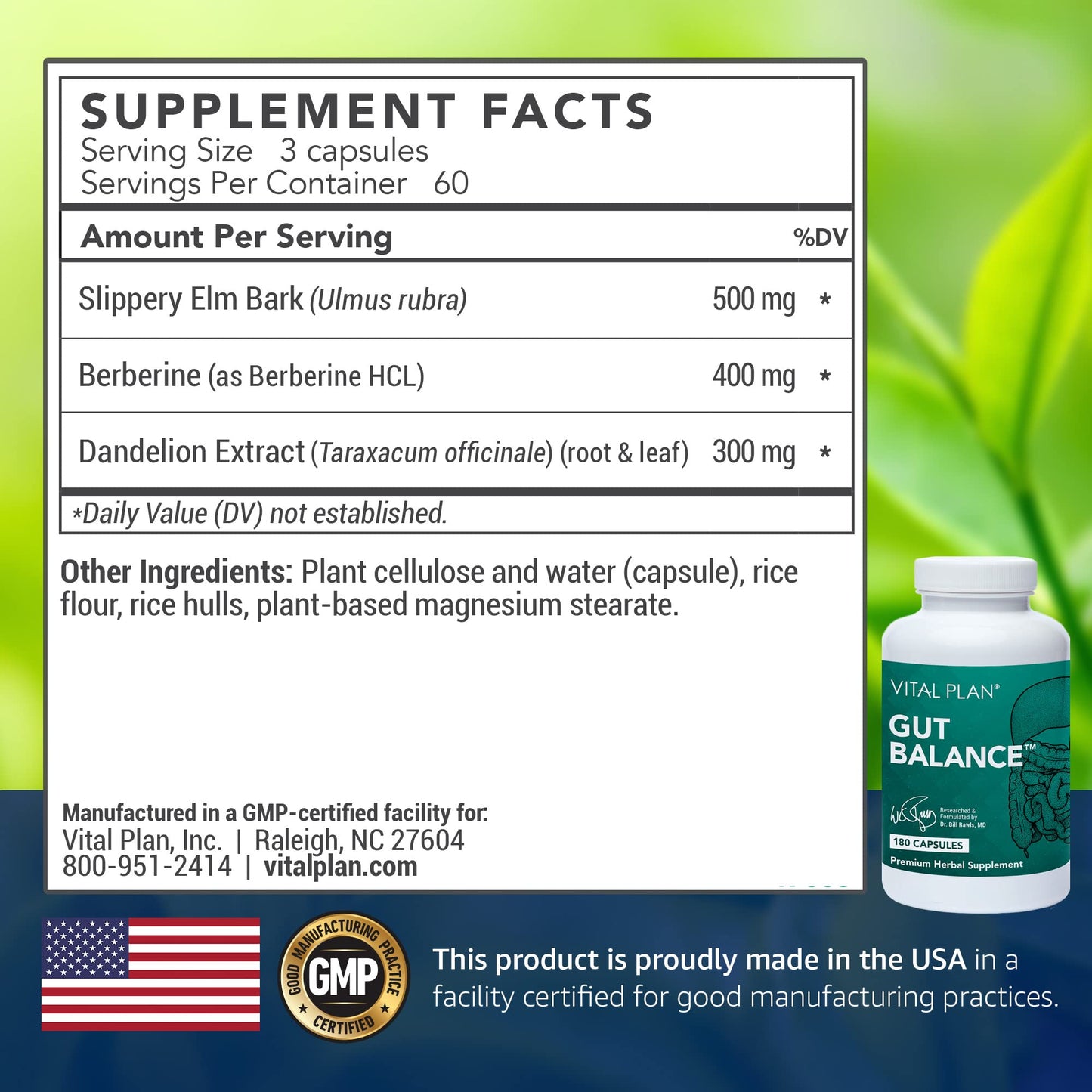 Vital Plan Gut Balance Supplement by Dr. Bill Rawls - Advanced Digestive Health Support Formula w/Clinical-Grade Slippery Elm Bark, Berberine & Dandelion Extract for Women & Men (180 Capsules) Vital Plan buy supplements Au
