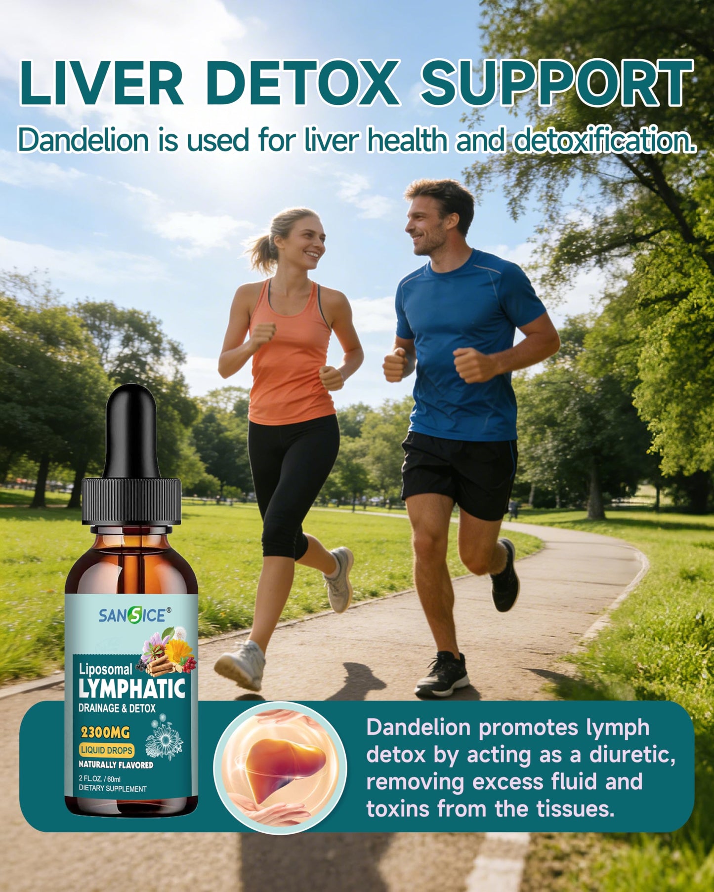 SANSICE Organic Moringa Supplement, Liquid Moringa Leaf Extract for Women & Men, Lymphatic Drainage Supplement with Echinacea for Lymph System Support SANSICE buy supplements Au