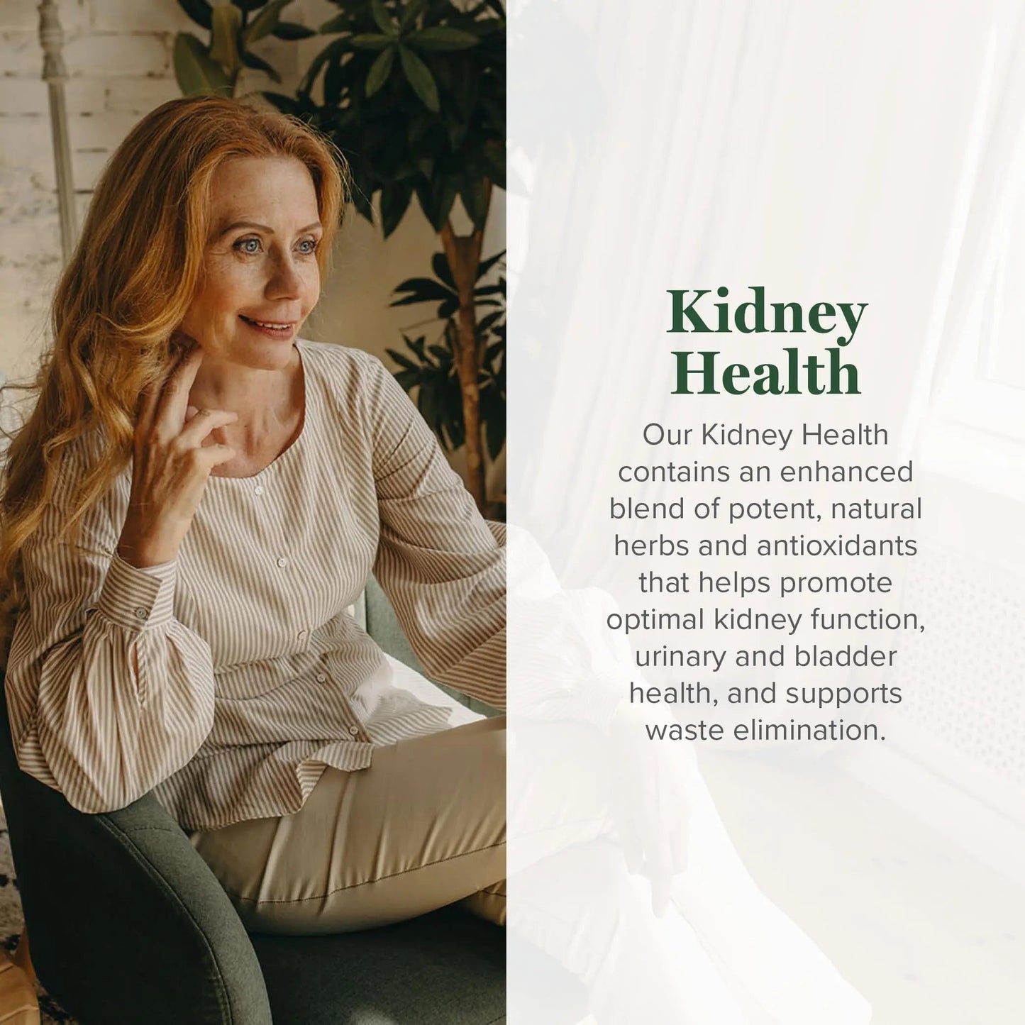 Global Healing USDA Organic Kidney Health with Cranberry & Hydrangea - Kidney Cleanse Liquid Supplement & Stones Dissolver for Urinary Health - Detox & Repair Formula for Bladder Control - 2 Fl Oz Global Healing CenterBuy Supplements Australia