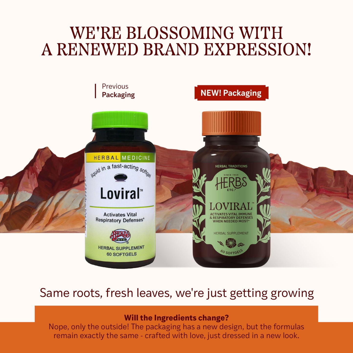 Herbs Etc. Loviral - Lung Health Supplement for Respiratory Defense & Support - Herbal Supplement with Lomatium, Pelargonium & OSHA - Gluten-Free - 60 Softgels (60 Servings) Herbs Etc.Buy Supplements Australia