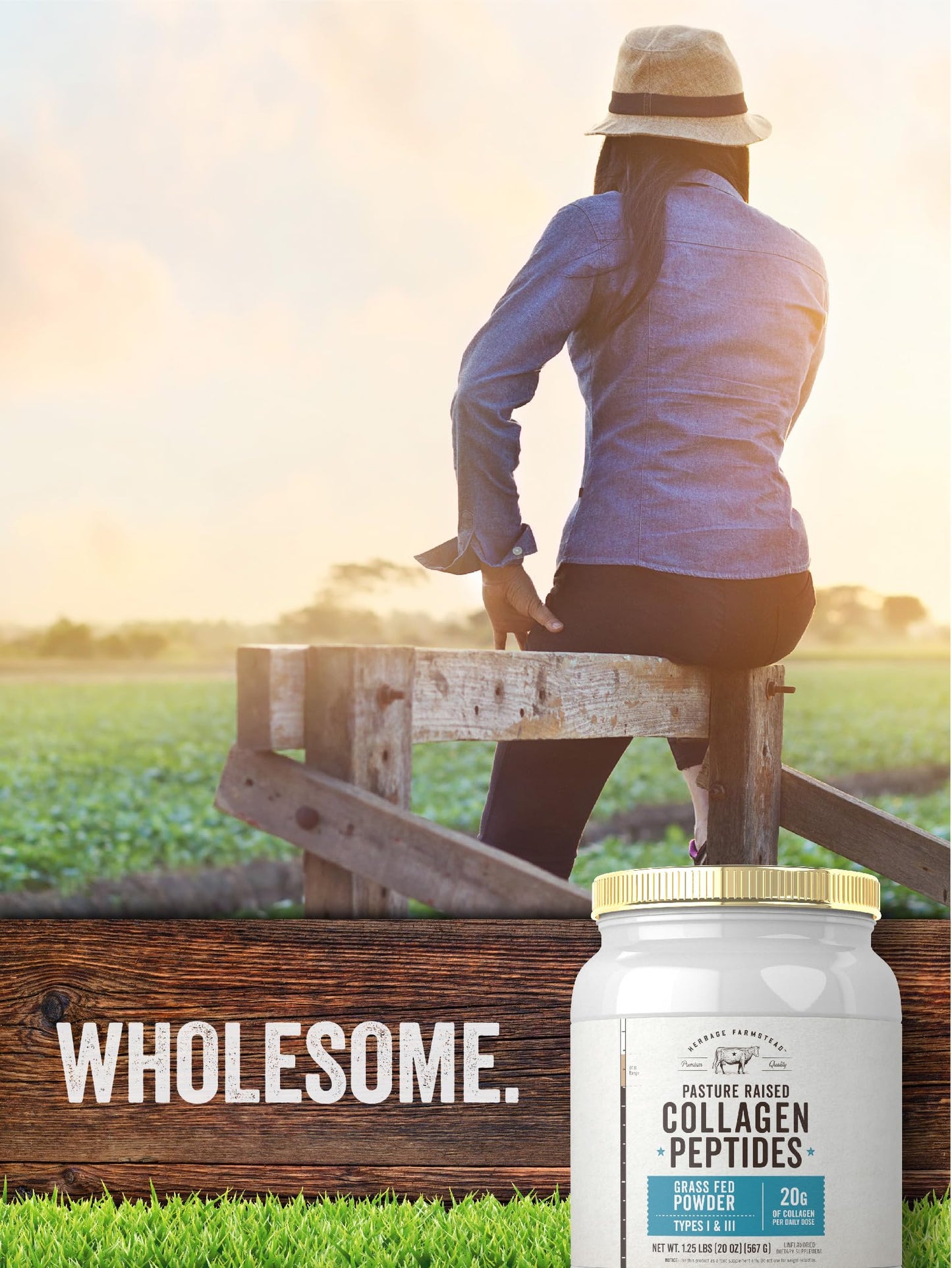 Carlyle Grass Fed Collagen Peptides Powder 20oz | Unflavored | Pasture Raised | Types I & III | 20g of Collagen Per Daily Dose | Non-GMO, Gluten Free | by Herbage Farmstead Carlyle buy supplements Au