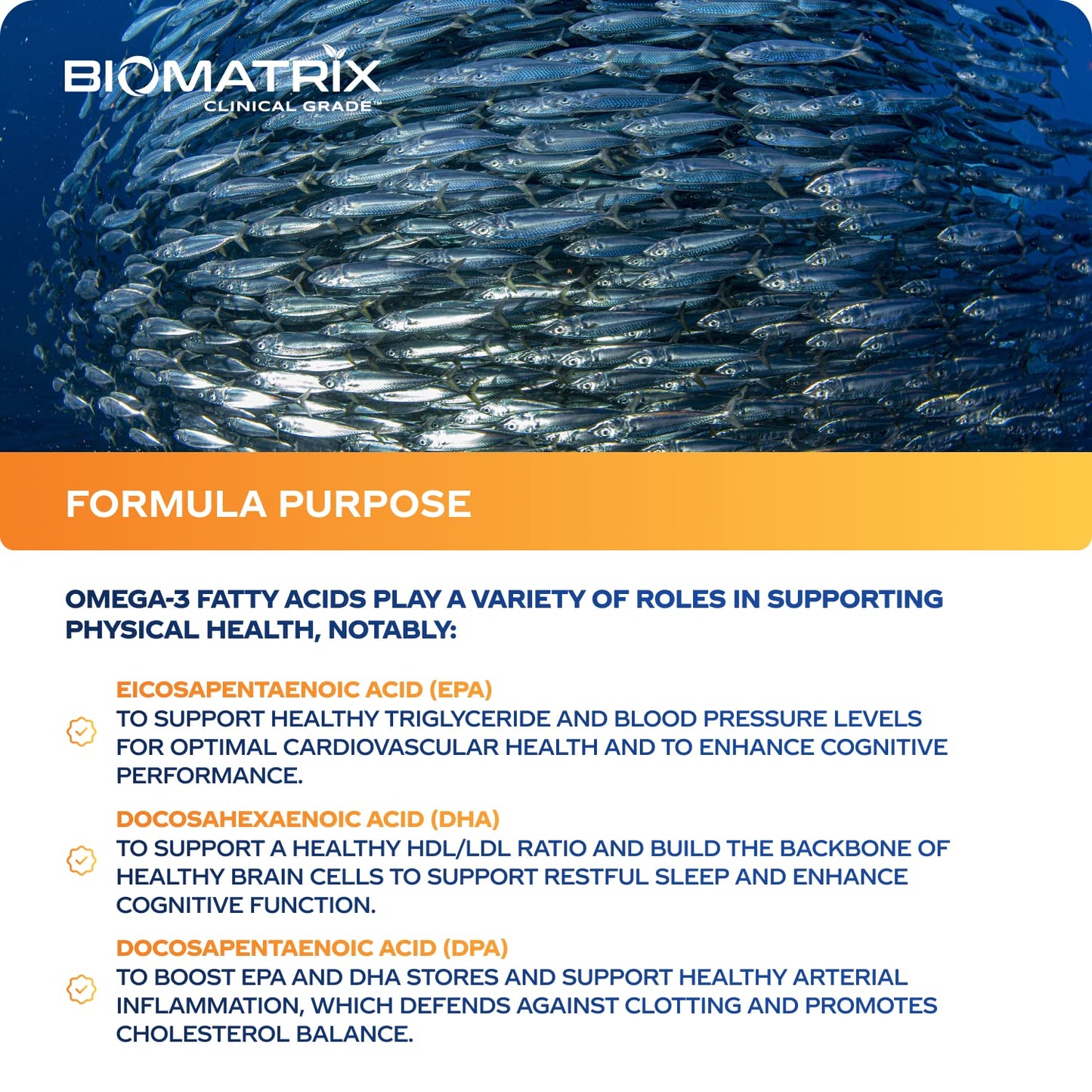 Support Omega EPA DHA Omega 3 Fish Oil Supplement - Cardiovascular, Musculoskeletal Support (120 Gel Capsules) BioMatrix buy supplements Au