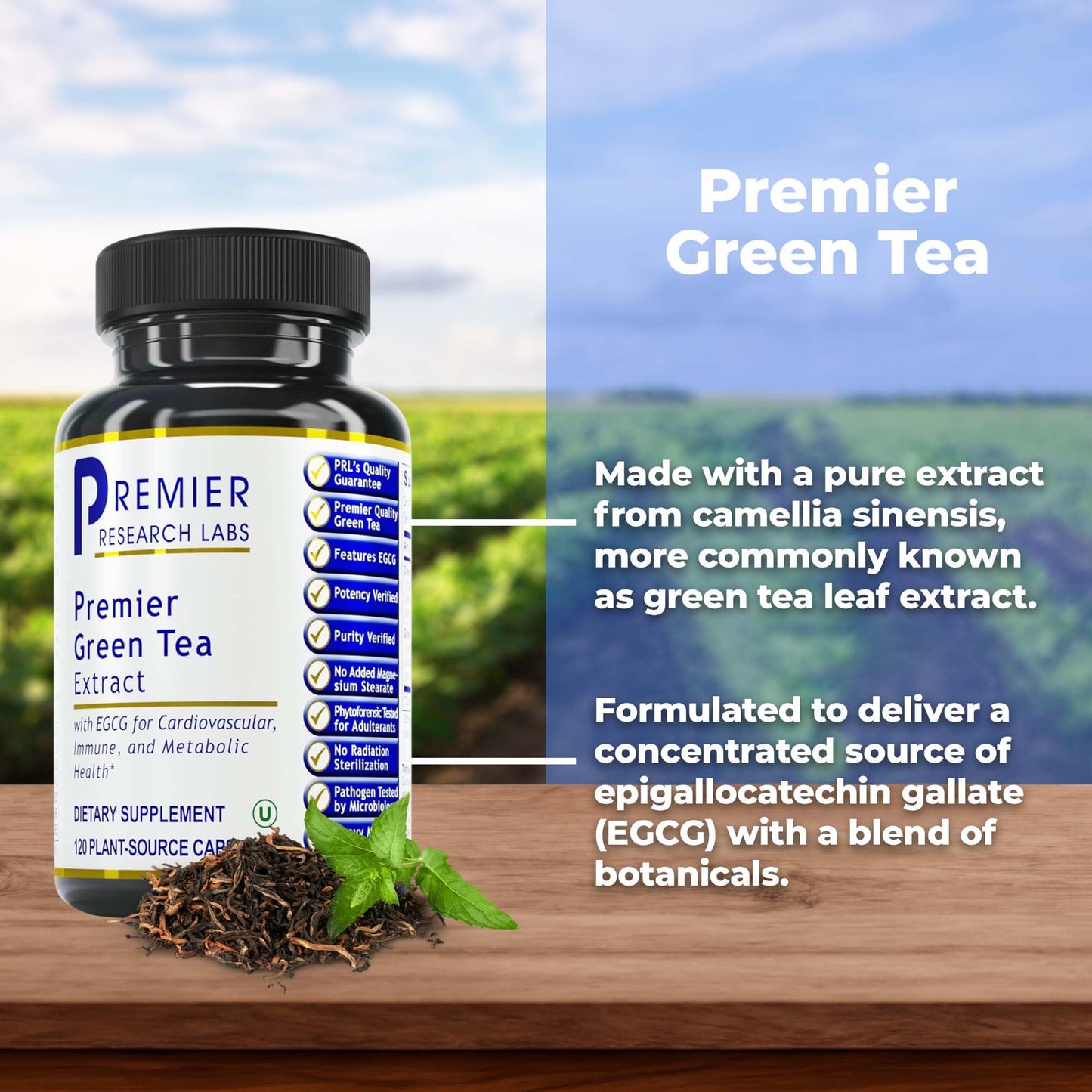 Premier Research Labs Premier Green Tea Extract - Green Tea Capsules, Green Tea Extract Pills, Green Tea Supplement with ECGC, Camellia Sinensis, Pure, Vegan Friendly - 120 Vegetarian Capsules Premier Research LabsBuy Supplements Australia