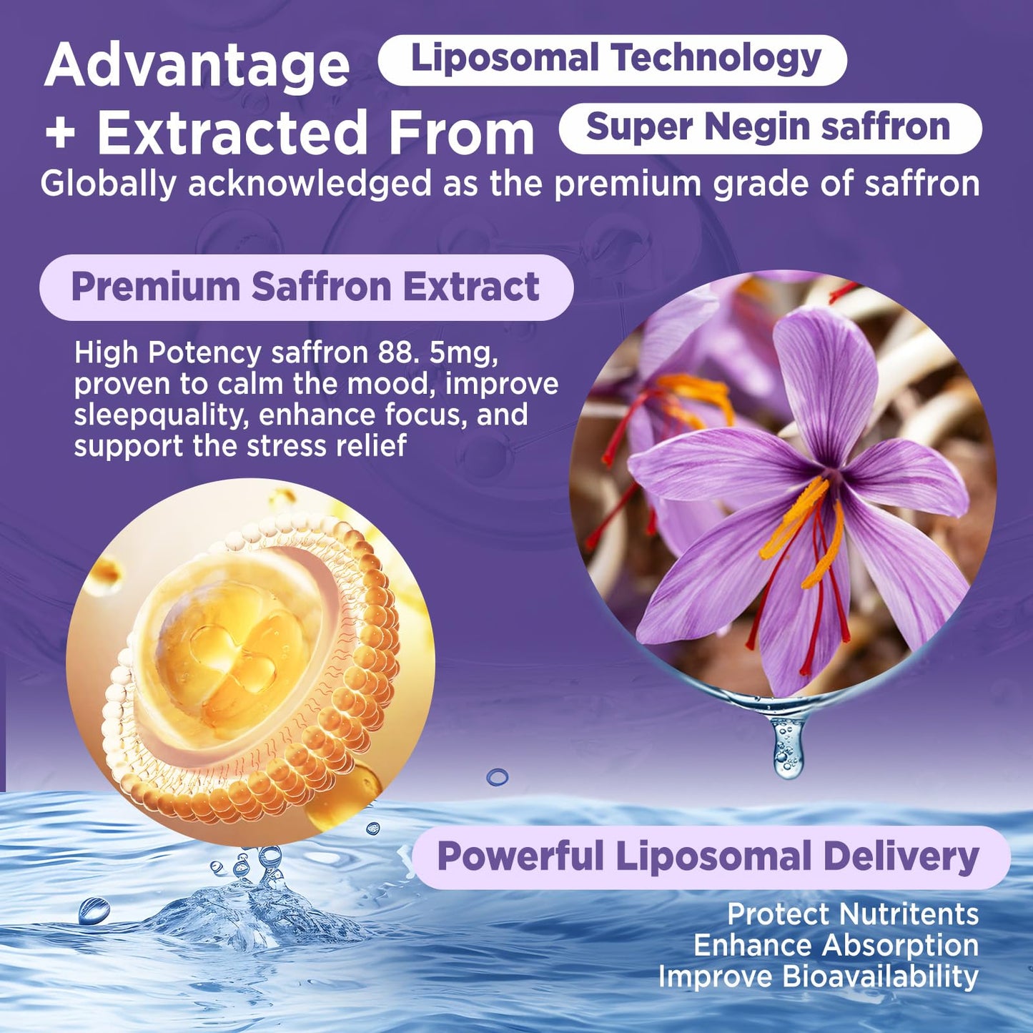 HOLLEGEND Liposomal Saffron Drops for Kids & Adults, Organic Saffron Supplement w/Magnesium, L-Theanine and Vitamins for Stress, Focus, Vision and Energy Support, Vegan, Natural Lemon Flavor, 2 FL OZ HOLLEGENDBuy Supplements Australia