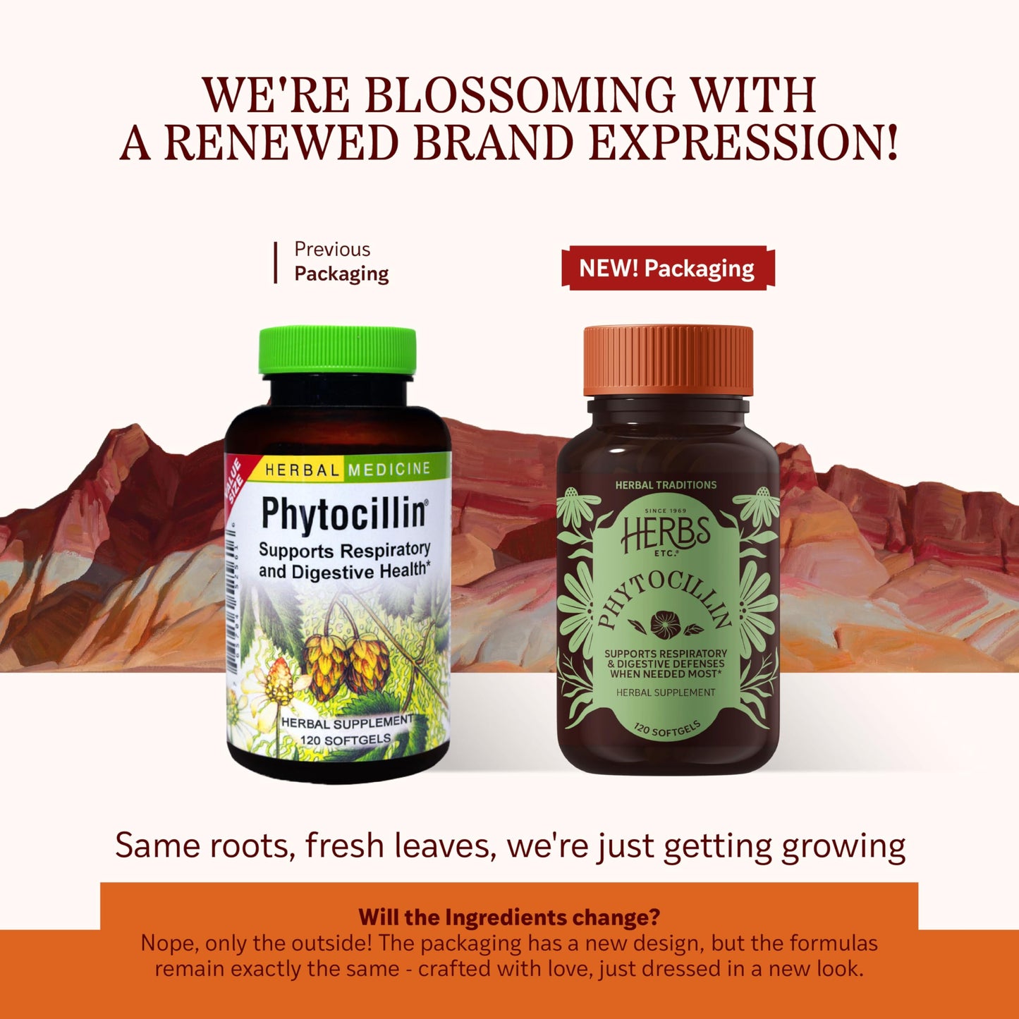Herbs Etc. Phytocillin - Respiratory & Digestive Health Support Supplement - Herbal Formula to Support Digestion - Support Healthy Breathing - 120 Softgels (120 Servings) Herbs Etc.Buy Supplements Australia
