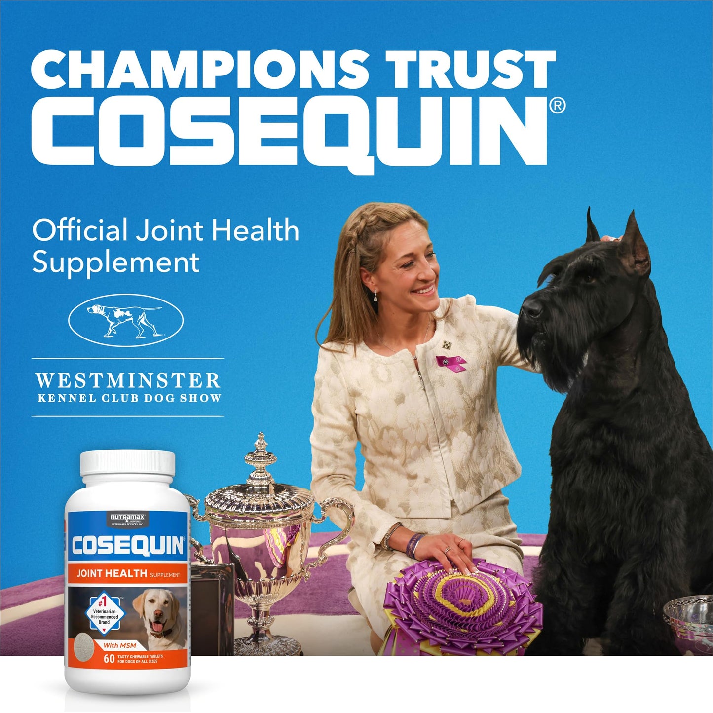 Nutramax Laboratories Cosequin Maximum Strength Joint Health Supplement for Dogs - With Glucosamine, Chondroitin, and MSM, 2 Pack, 264 Total Chewable Tablets Nutramax LaboratoriesBuy Supplements Australia