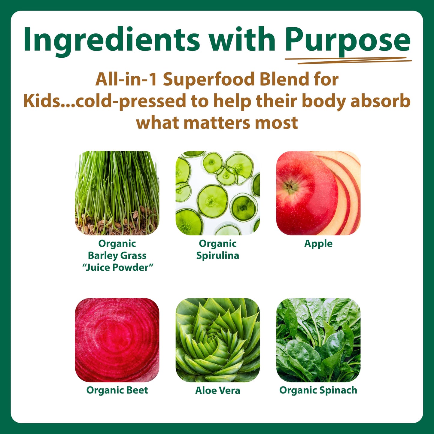 MacroLife Naturals MacroCoco Super Greens Drink, Chocolate Powder Superfood for Kids & Teens - Whole Food Fruit & Vegetable Multi-Vitamins Probiotics Digestive Enzymes & Fiber Supplement - 32 Servings MacroLife NaturalsBuy Supplements Australia