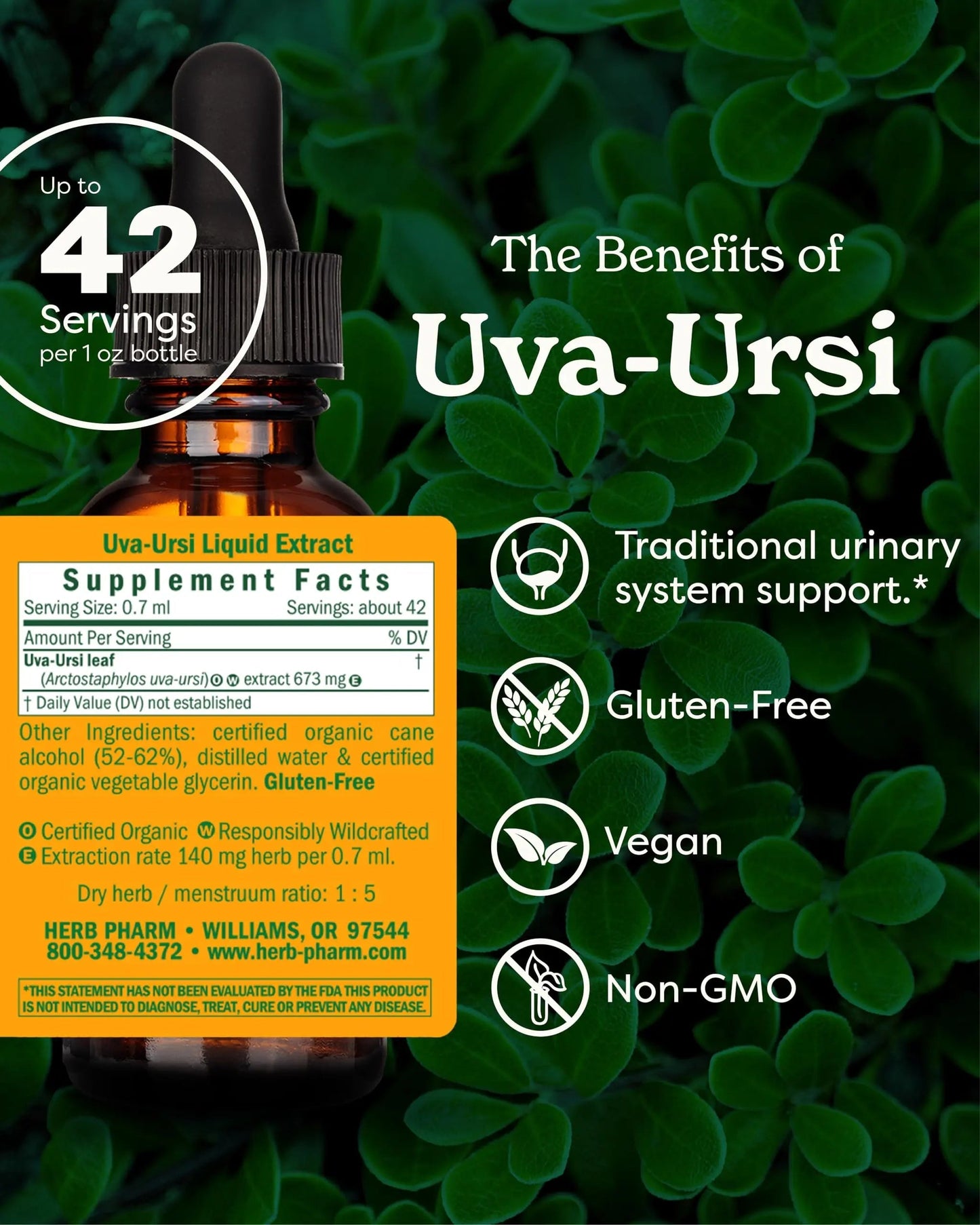 Herb Pharm Uva Ursi Liquid ExtraCount for Urinary System Support, 1 Fl Oz Herb PharmBuy Supplements Australia