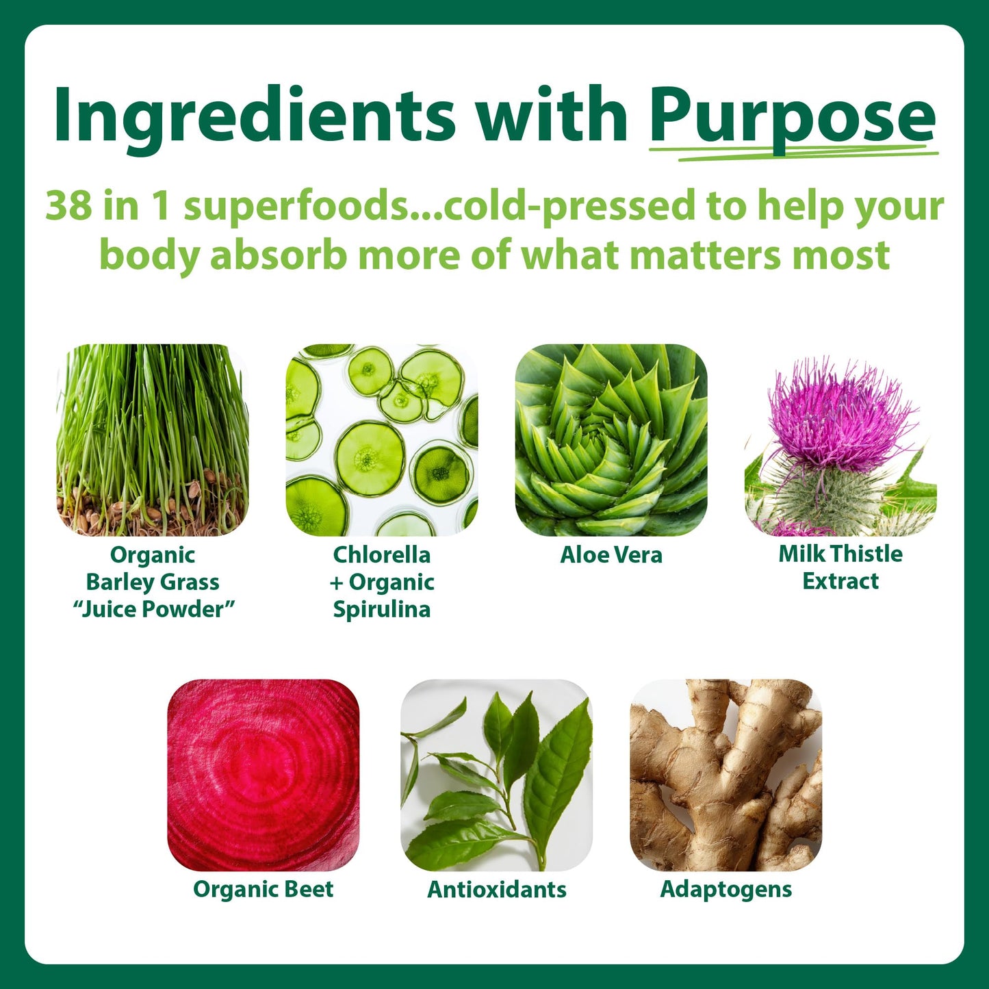 MacroLife Naturals Macro Greens Superfood Powder – 38 Superfoods with Probiotics, Digestive Enzymes & Adaptogens | Non GMO, Vegan, Gluten Free | 18B CFU | 10 oz (30 Servings) MacroLife NaturalsBuy Supplements Australia