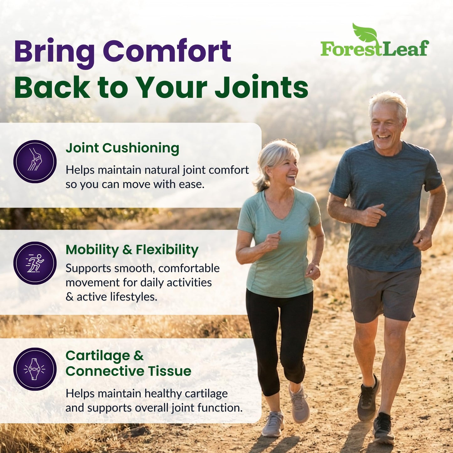 ForestLeaf Glucosamine Chondroitin MSM Joint Supplement Complex - 1200mg - 120 Caps ForestLeafBuy Supplements Australia