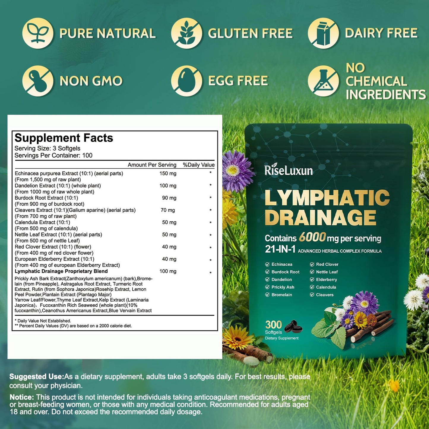 21-in-1 Liposomal Lymphatic Drainage Supplements, 100 Day Supply, 6000mg Lymph System Support for Women & Men with Echinacea, Dandelion, Burdock, Bromelain, Calendula, Turmeric & More, 300 Softgels RiseLuxun buy supplements Au