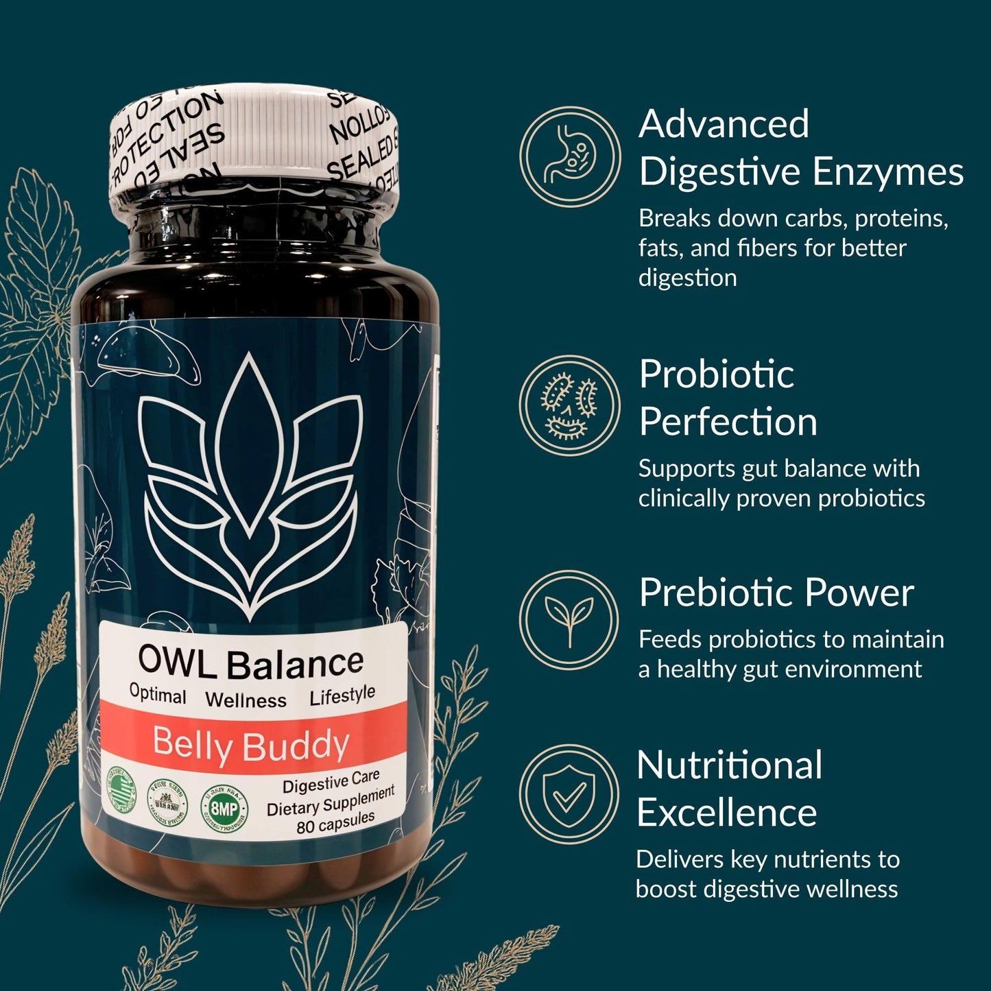 Belly Buddy Advanced Gut Health Support containing a helthy Blend of Probiotics, Prebiotics, and Digestive Enzymes OWL Balance buy supplements Au