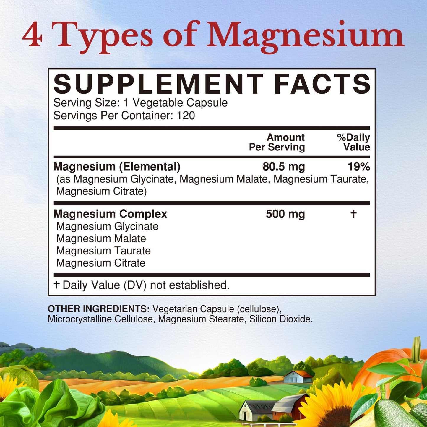 Vitalitown Magnesium Complex Supplement 500mg - NSF Certified Magnesium Glycinate, Malate, Taurate & Citrate - Chelated High Absorption & Gentle on Stomach - Vegan Non-GMO 120 Capsules VITALITOWN buy supplements Au