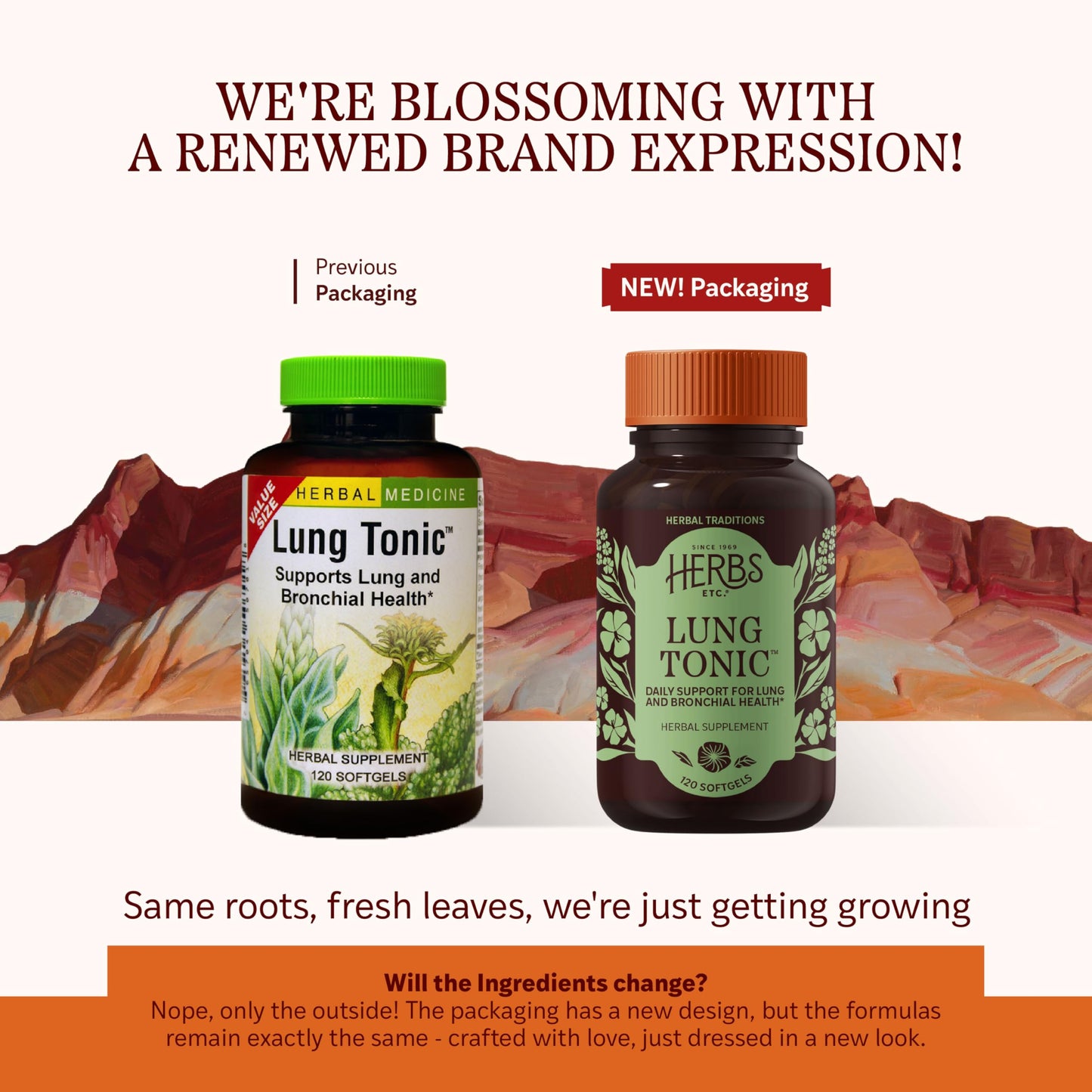 Herbs Etc. Lung Tonic - Lung Supplement for Bronchial Support - Healthy Breathing Support with Mullein, Horehound & Grindelia - 120 Softgels Herbs Etc.Buy Supplements Australia