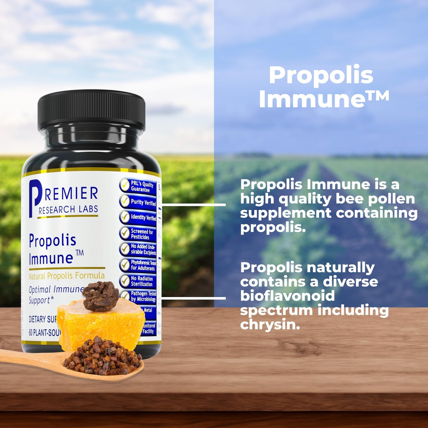 Premier Research Labs Propolis Immune - Bee Propolis Capsules, Bee Pollen Supplement, Propolis Extract Pills for Women & Men, Promotes Immune Health - 60 Vegetarian Capsules Premier Research LabsBuy Supplements Australia