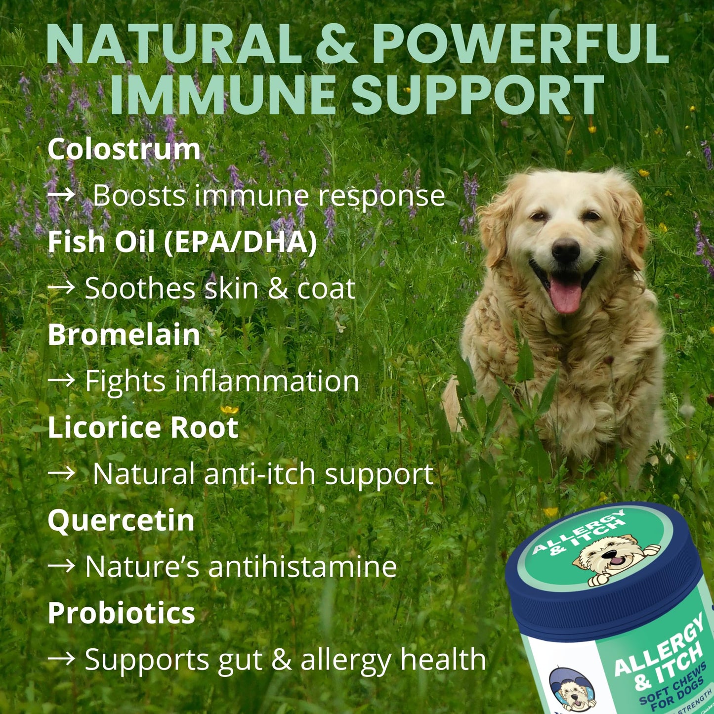 Under the Weather Allergy & Itch Pet Allergy Chews for Dogs | Vet Formulated Skin Support for Canines | Soothing Dog Allergies and Itching Relief Supplement | 60 Count Under the Weather buy supplements Au